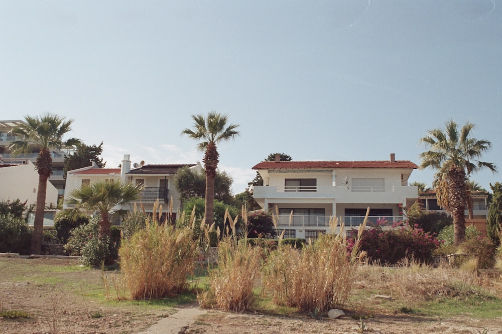 a house with palm trees in front of it