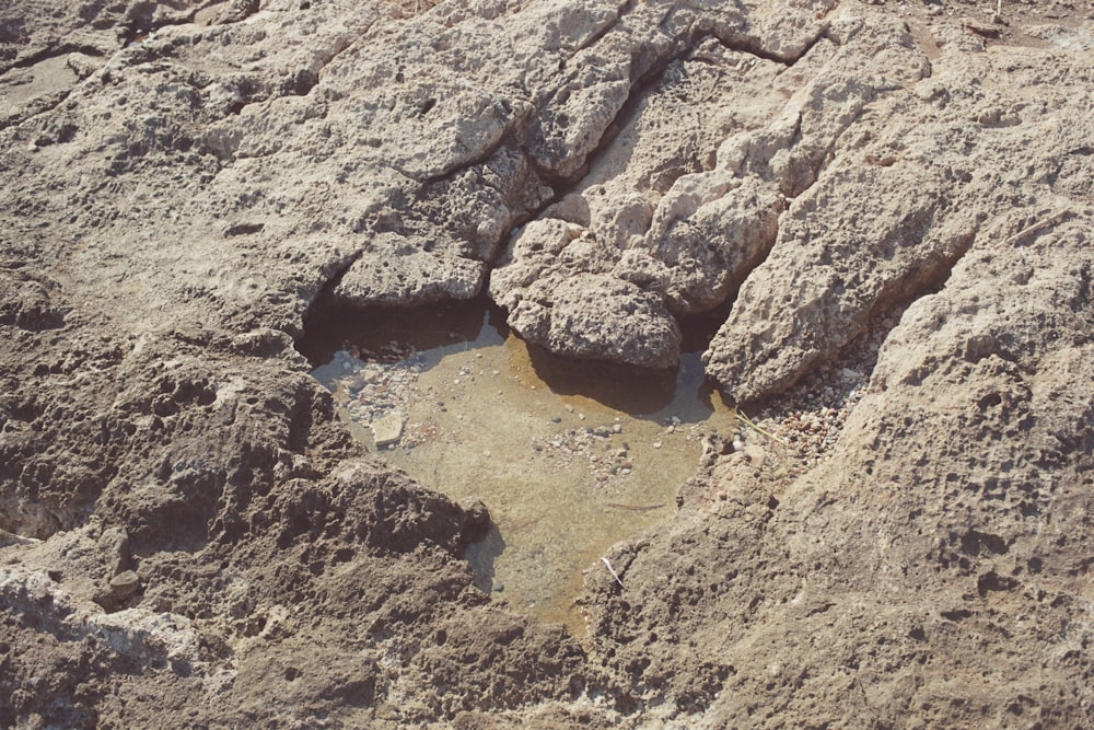 a close up of rocks with water in them