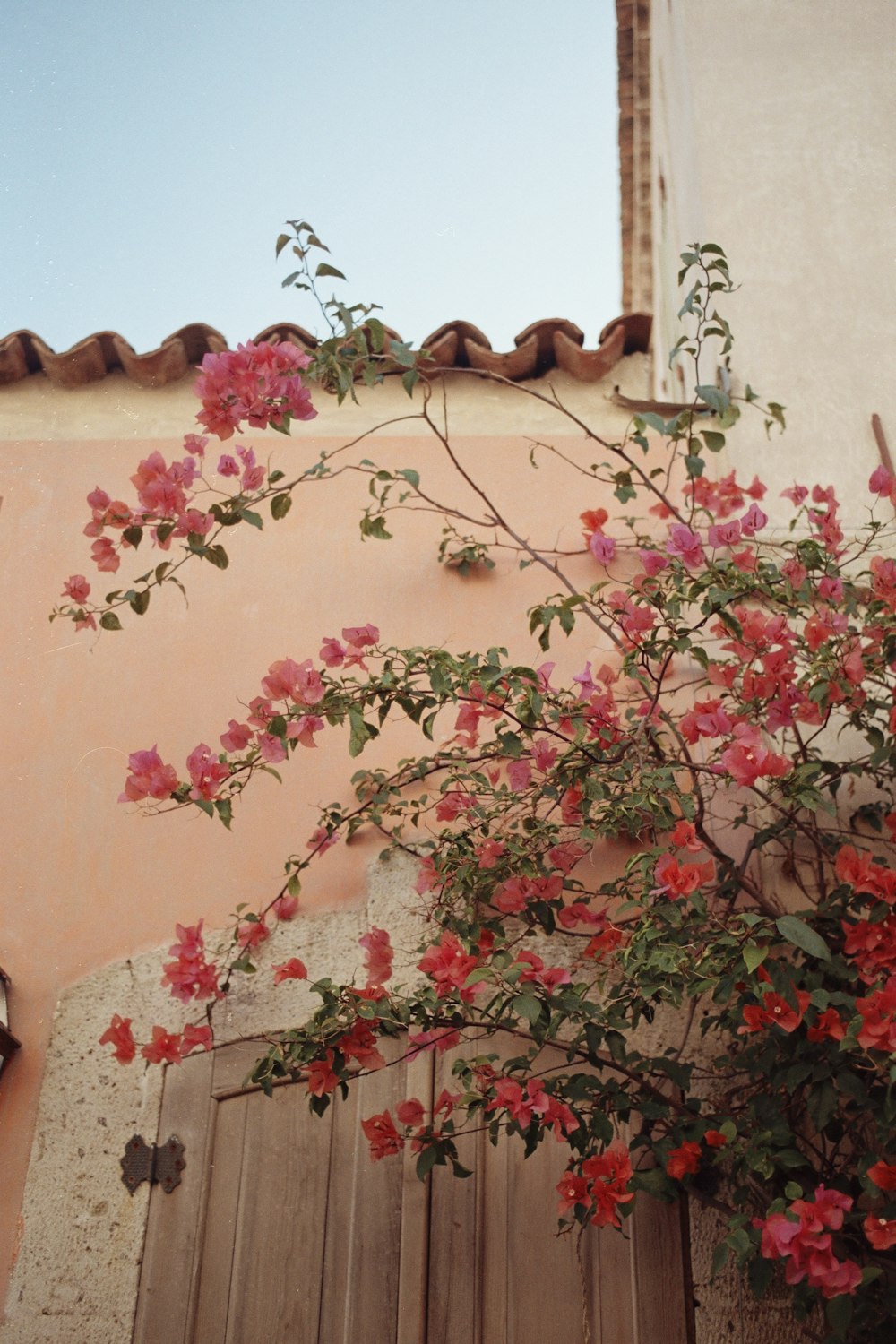 a pink building with flowers growing out of it