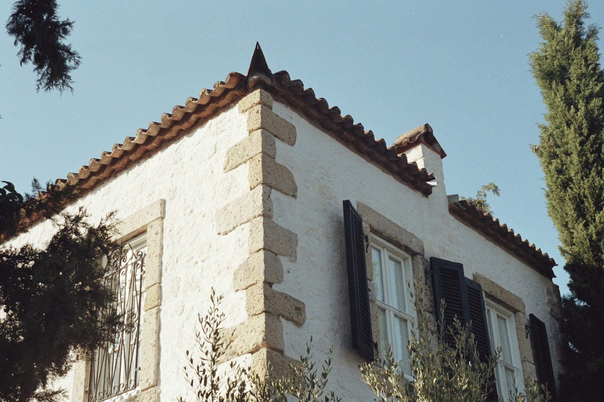a white building with black shutters and a tree