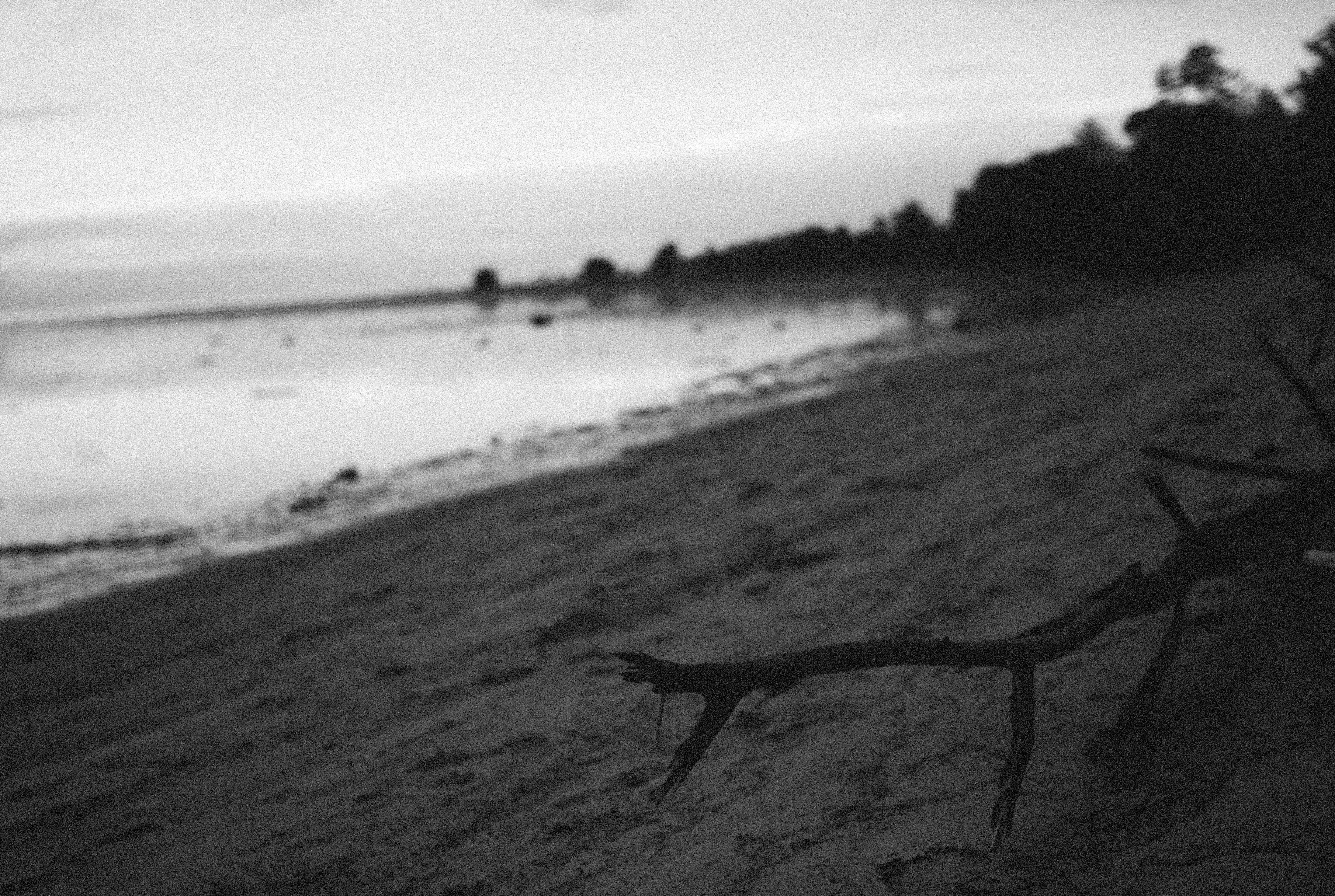 Photo by alexeydemidov