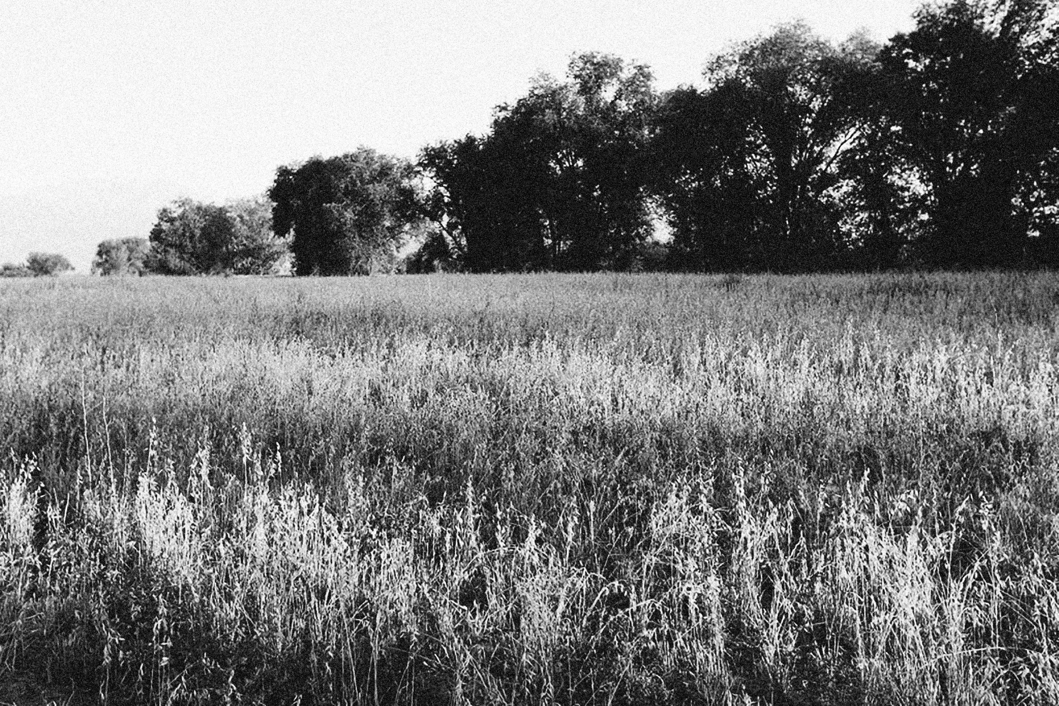 Photo by alexeydemidov