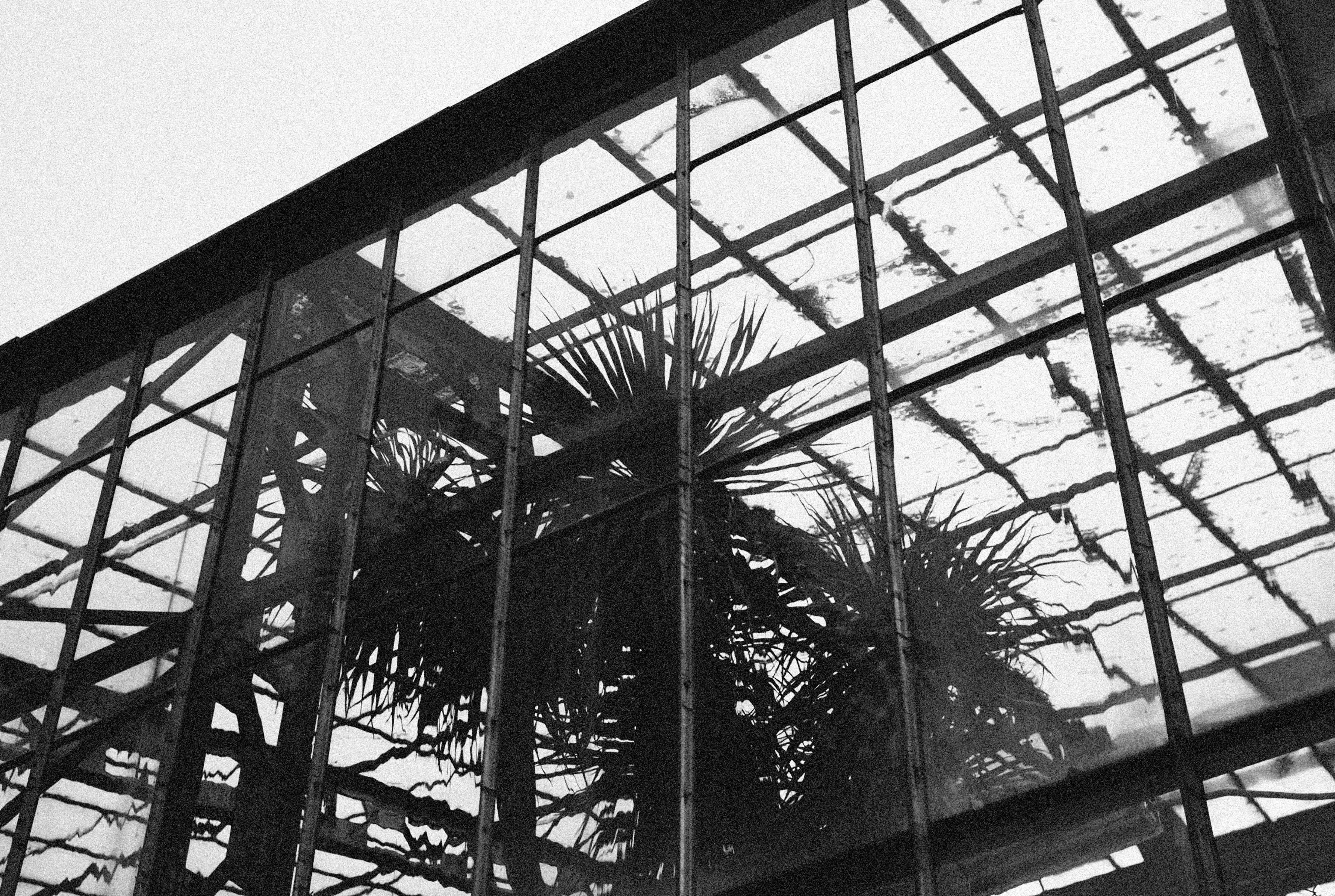 Photo by alexeydemidov