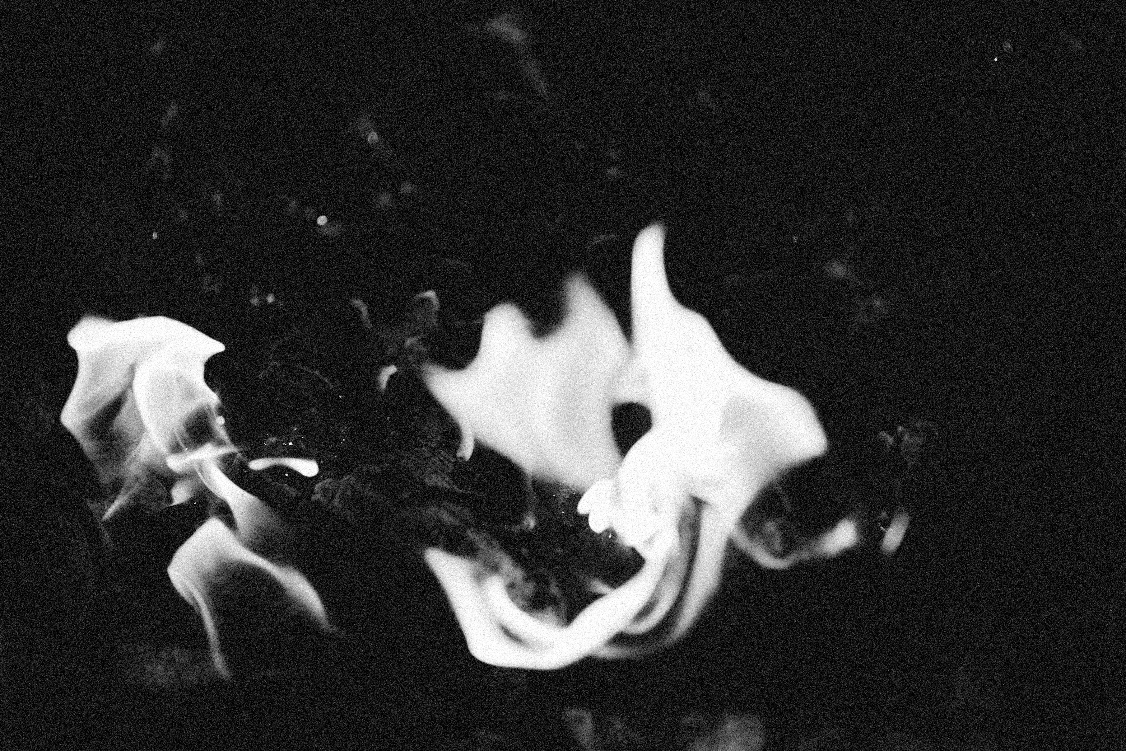 dark monochrome flame fire, wallpaper, Monochrome Fire Wallpaper Backgrounds: Aesthetic & Minimalist Guide 6