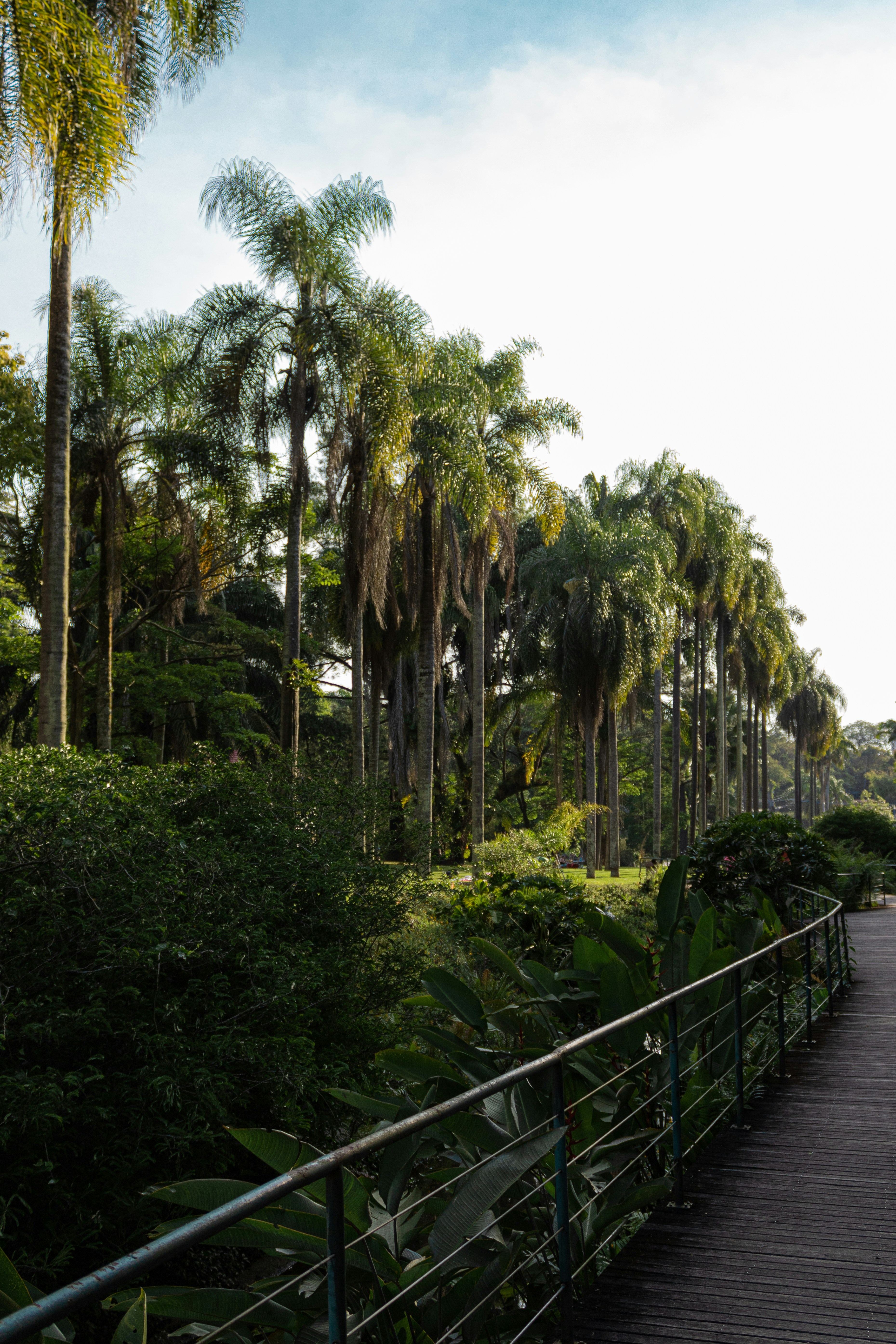 Photo by gabrieluizramos