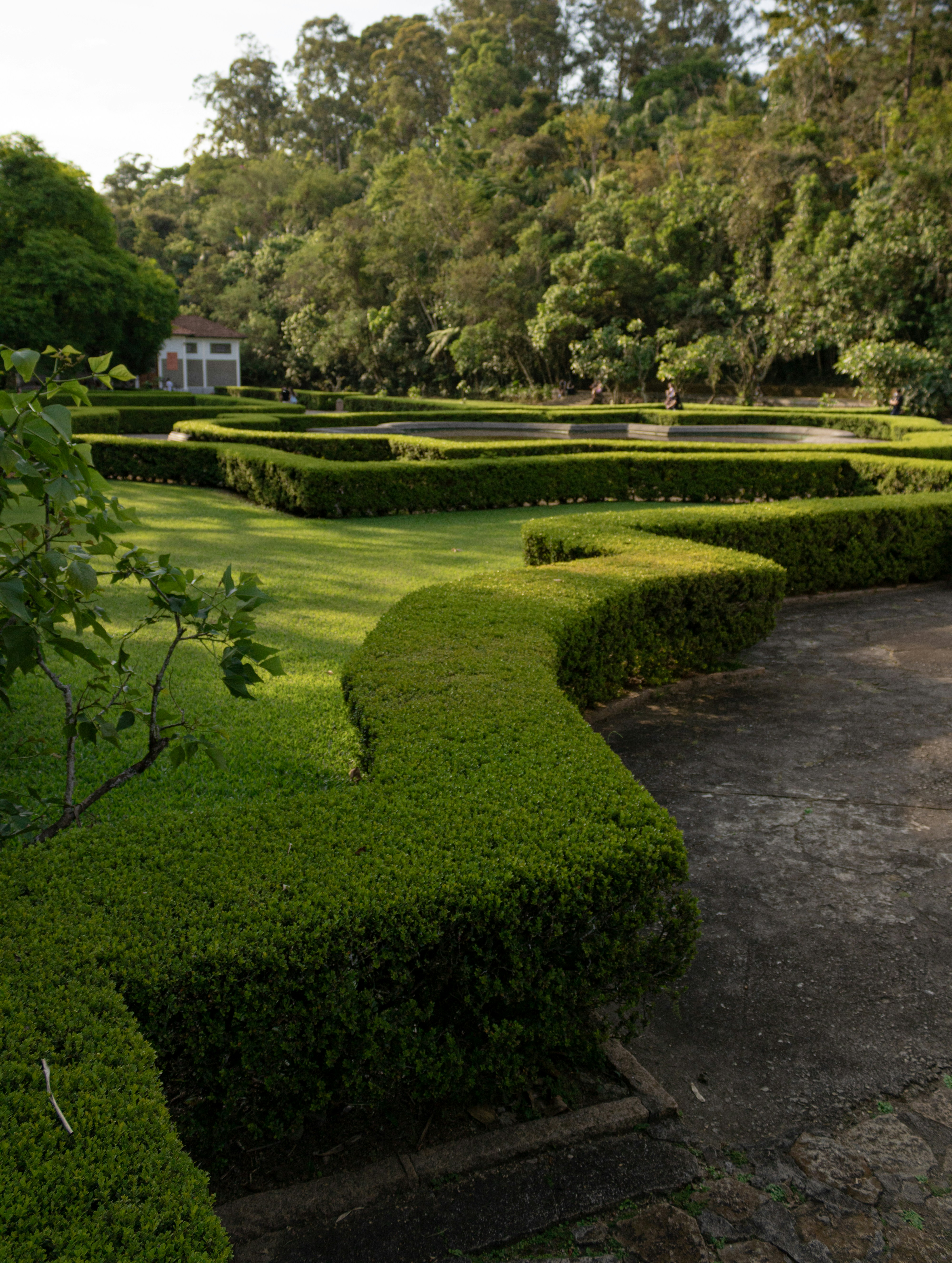 Photo by gabrieluizramos