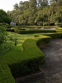 An elegant residential outdoor space with manicured hedges and clean, organized flower beds