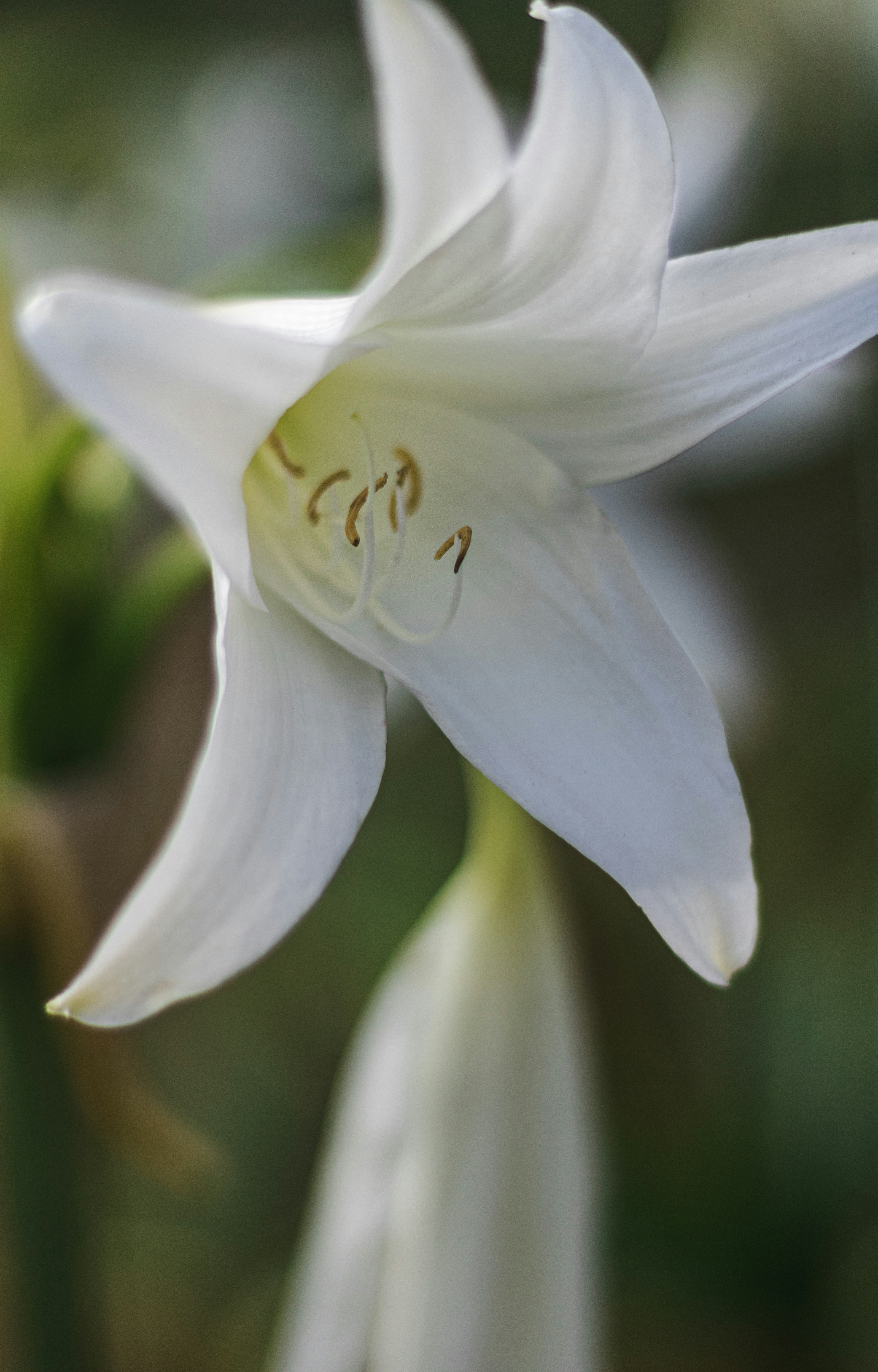 Photo by gabrieluizramos