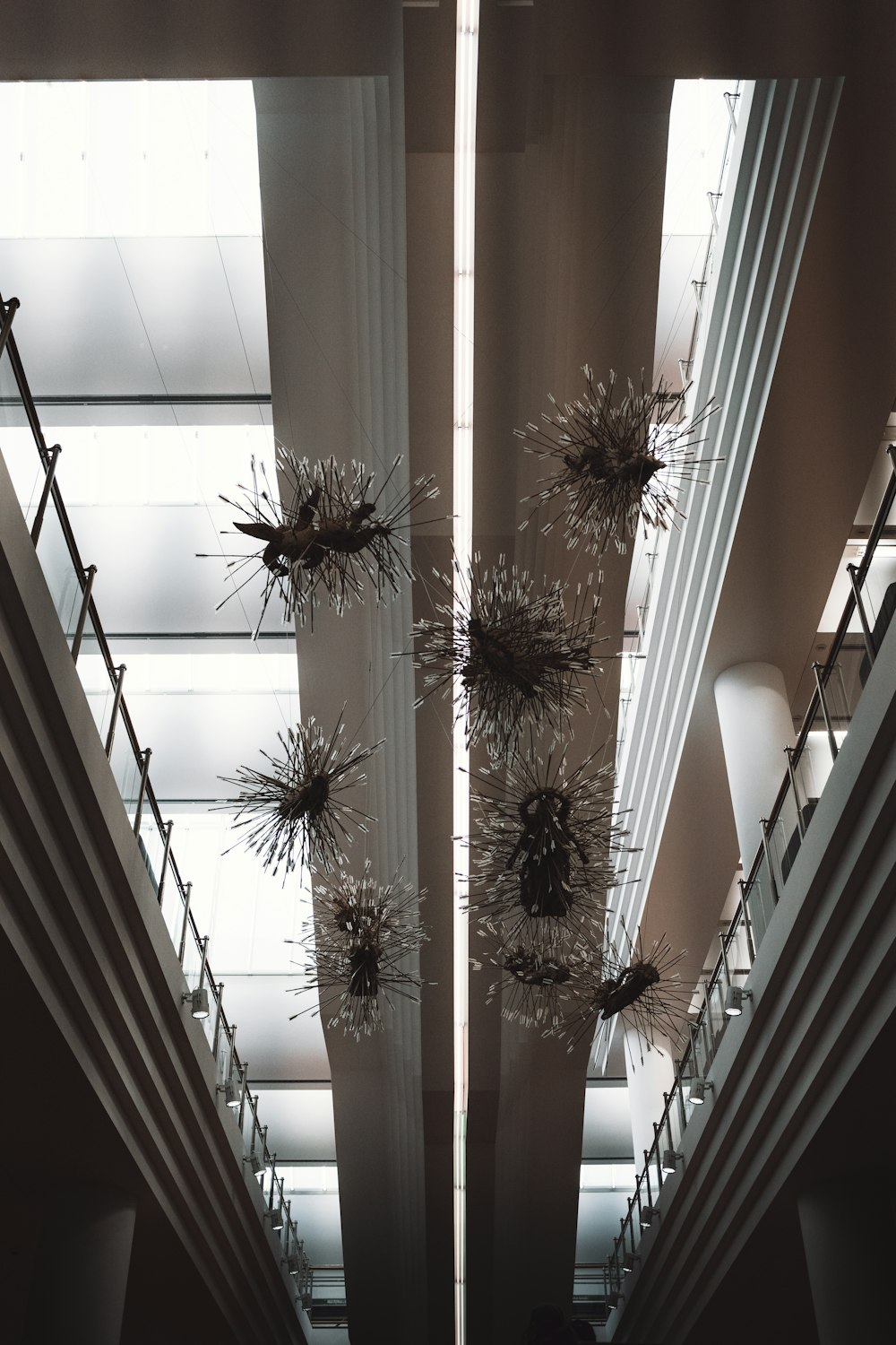 the ceiling of a building with a bunch of hanging plants