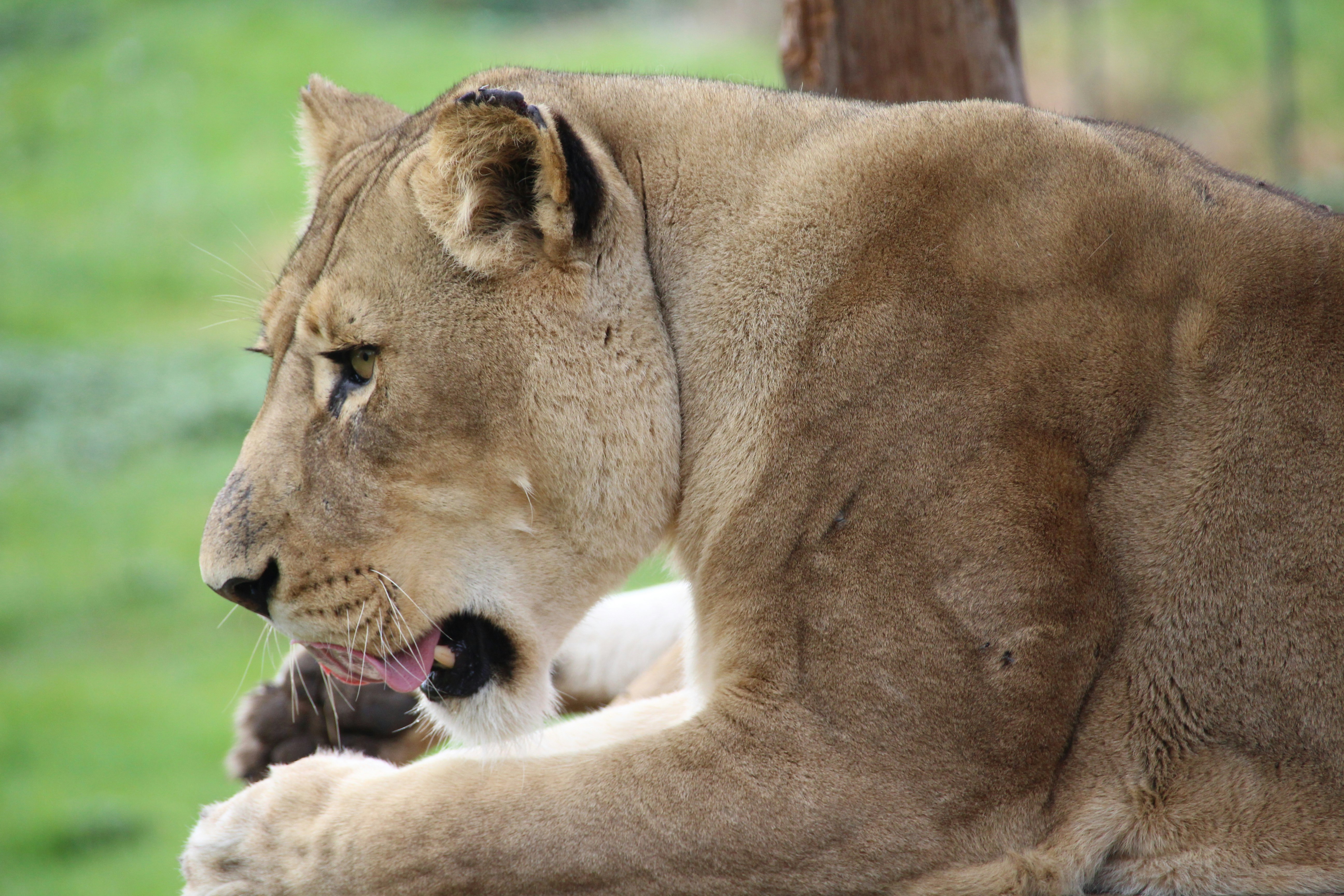 Photo by chinrichsen