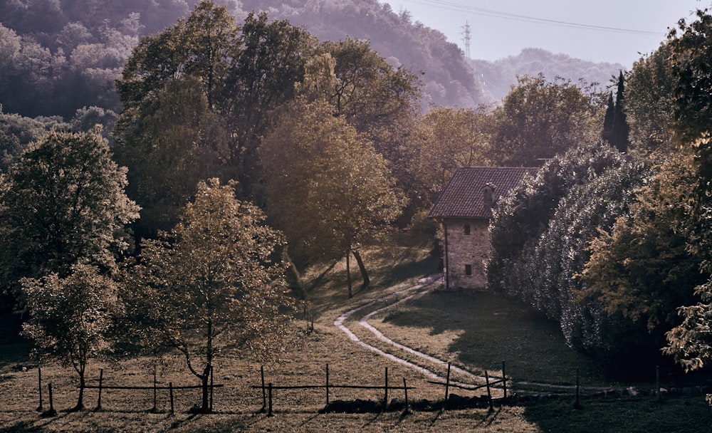 a small house in the middle of a wooded area