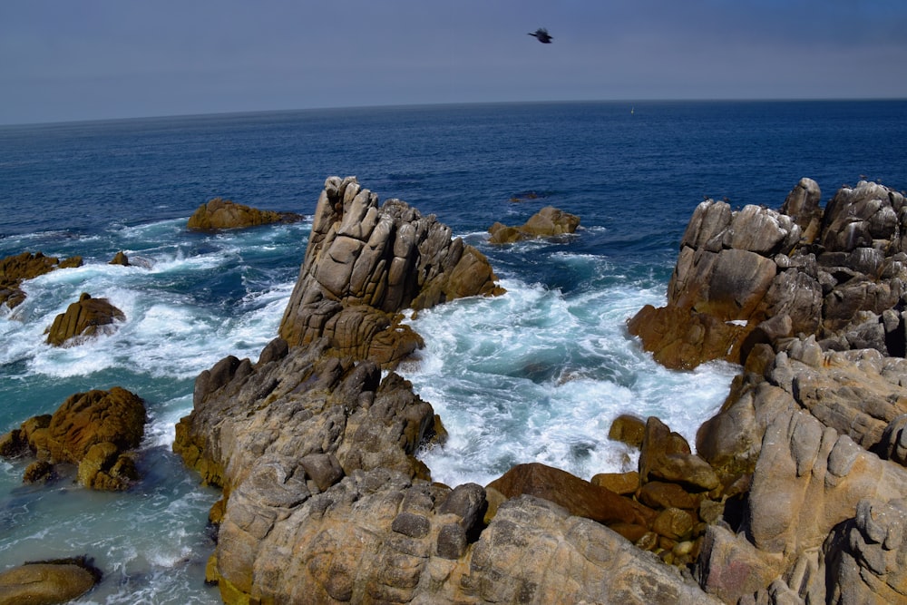 a bird flying over the ocean near some rocks