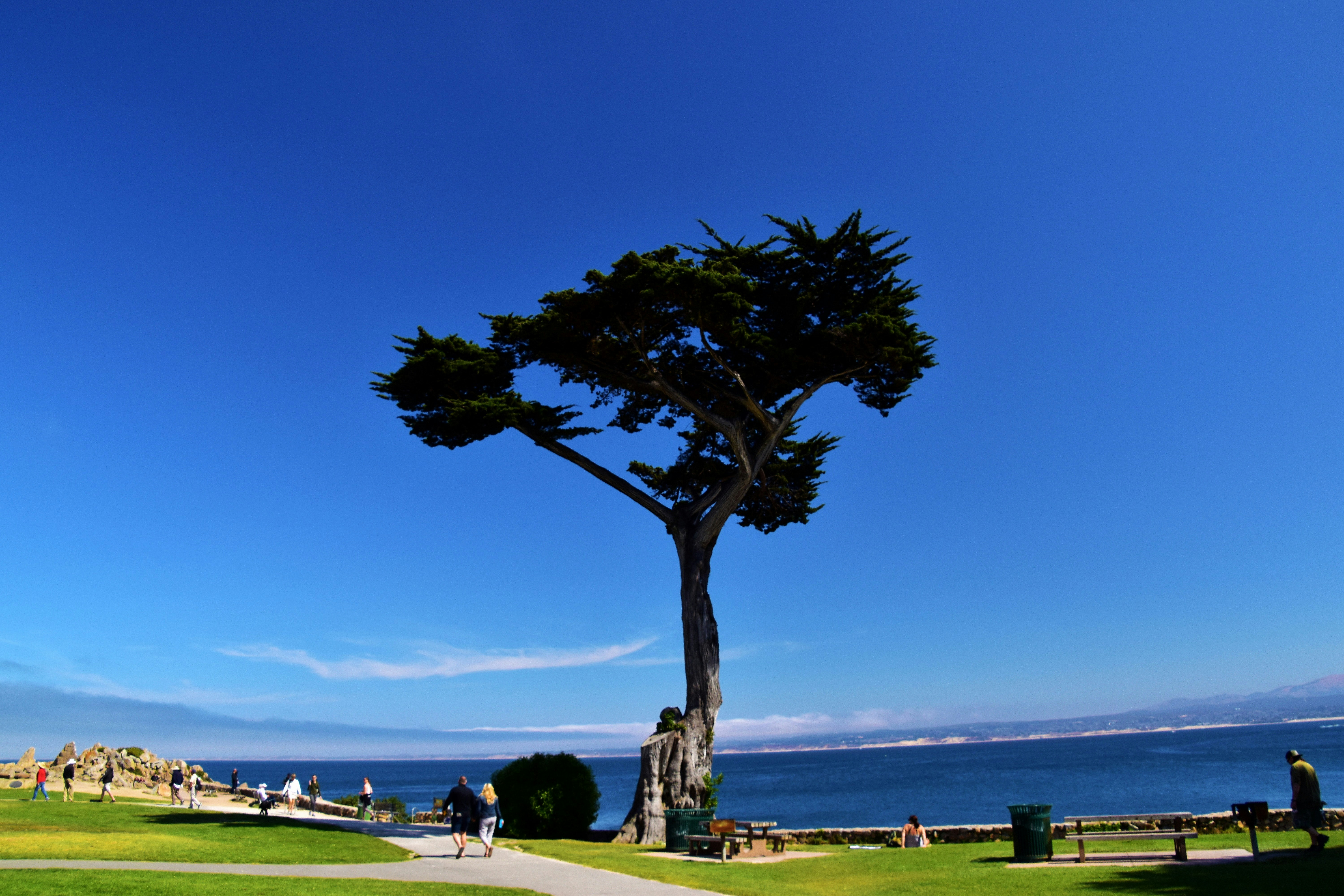 Monterey - Things to Do in Monterey