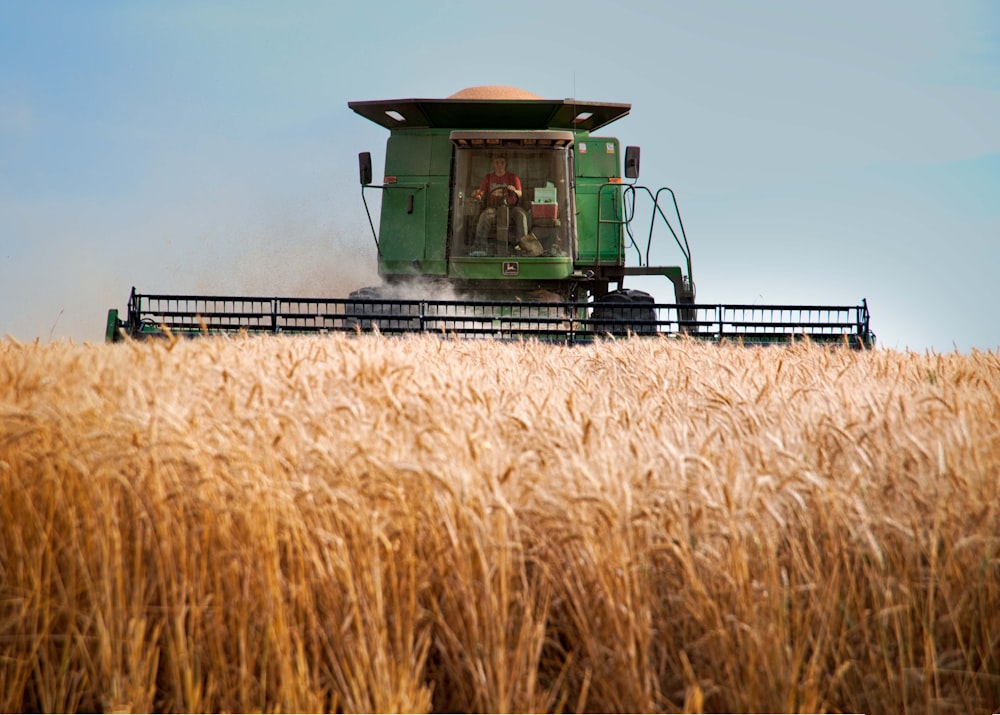 a green combine truck driving through a wheat field