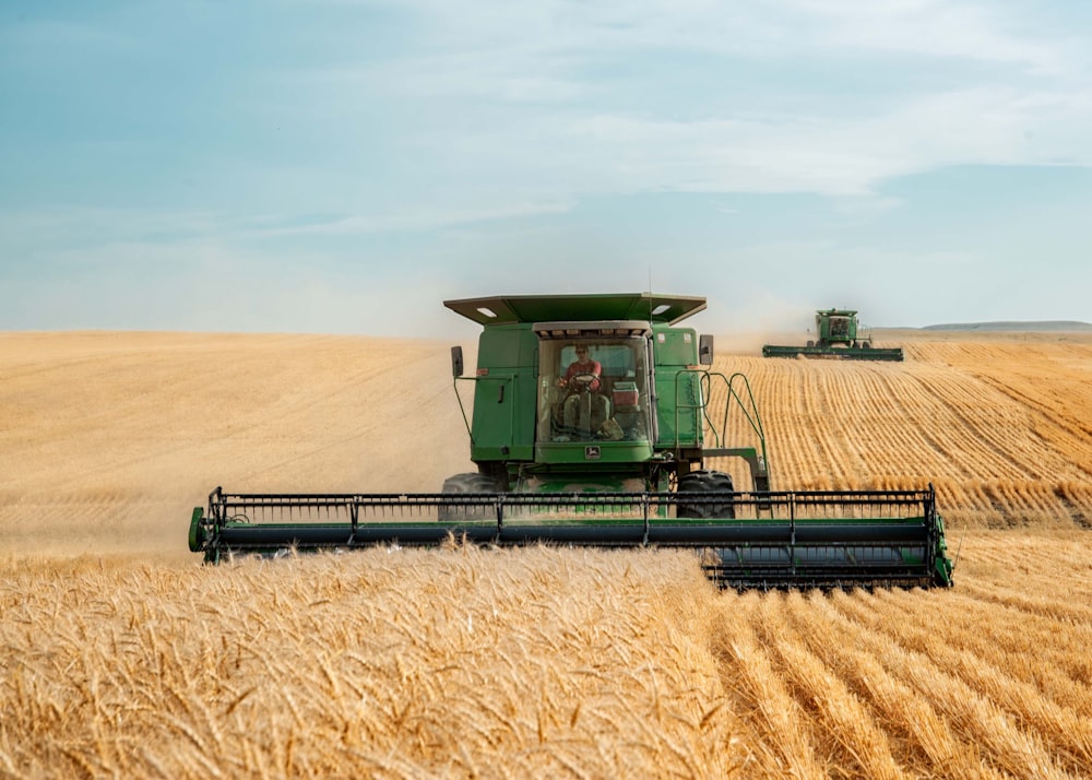 two green combines in a large wheat field