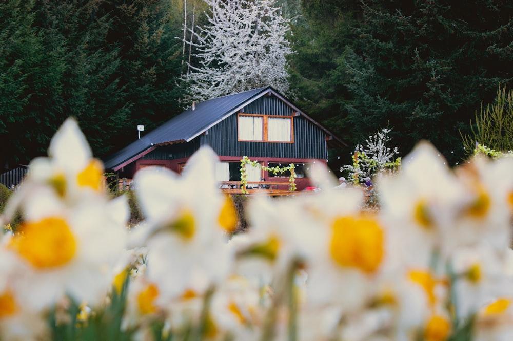 a house surrounded by trees and flowers in the foreground