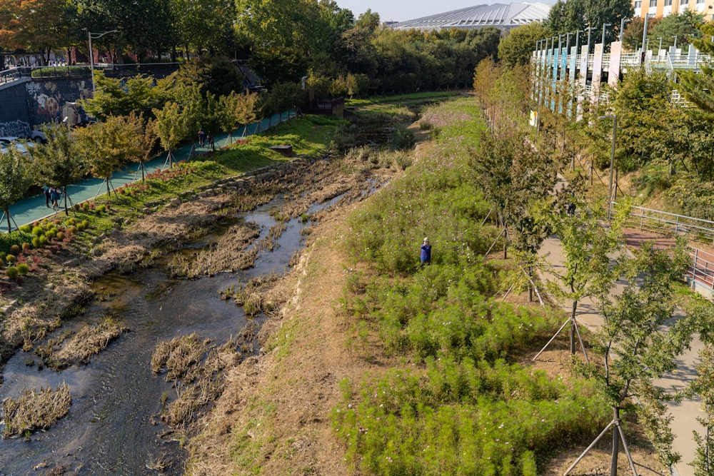 a man standing on the side of a river next to a forest