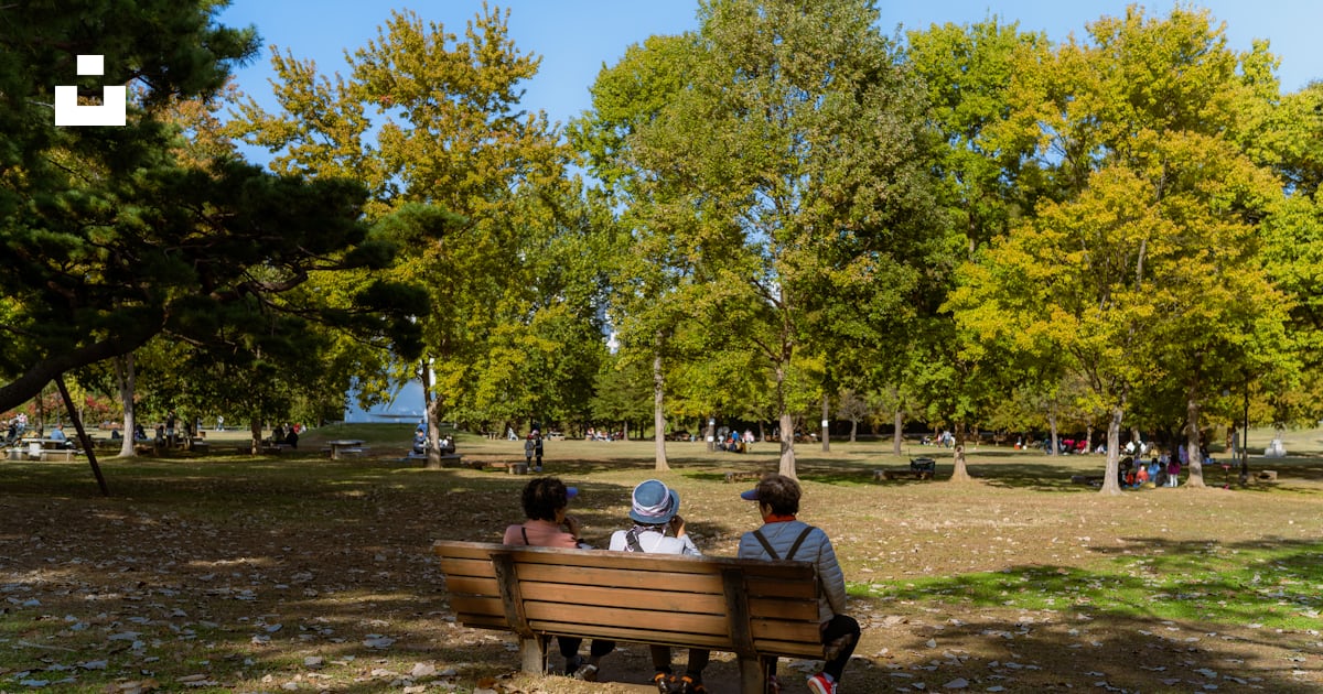 公園のベンチに座る3人の写真 – Unsplashの無料友達写真