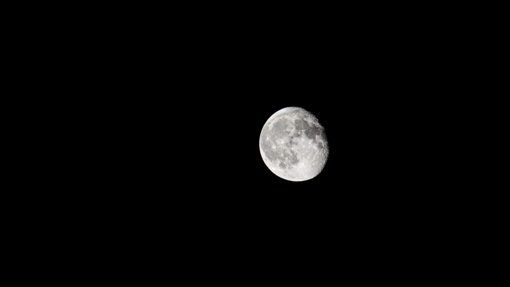 Una luna llena se ve en el cielo oscuro