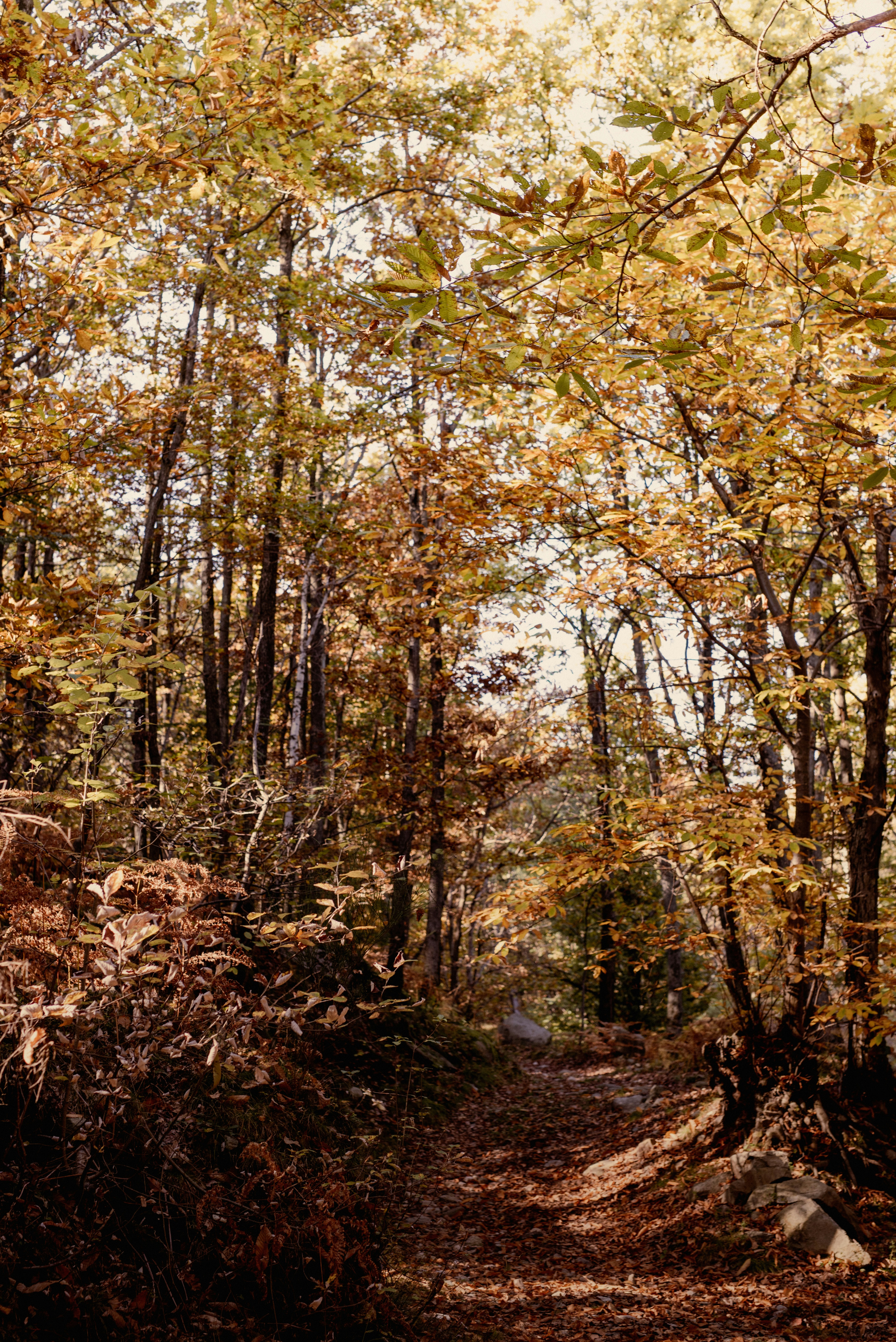 Photo by lauraadaiphoto