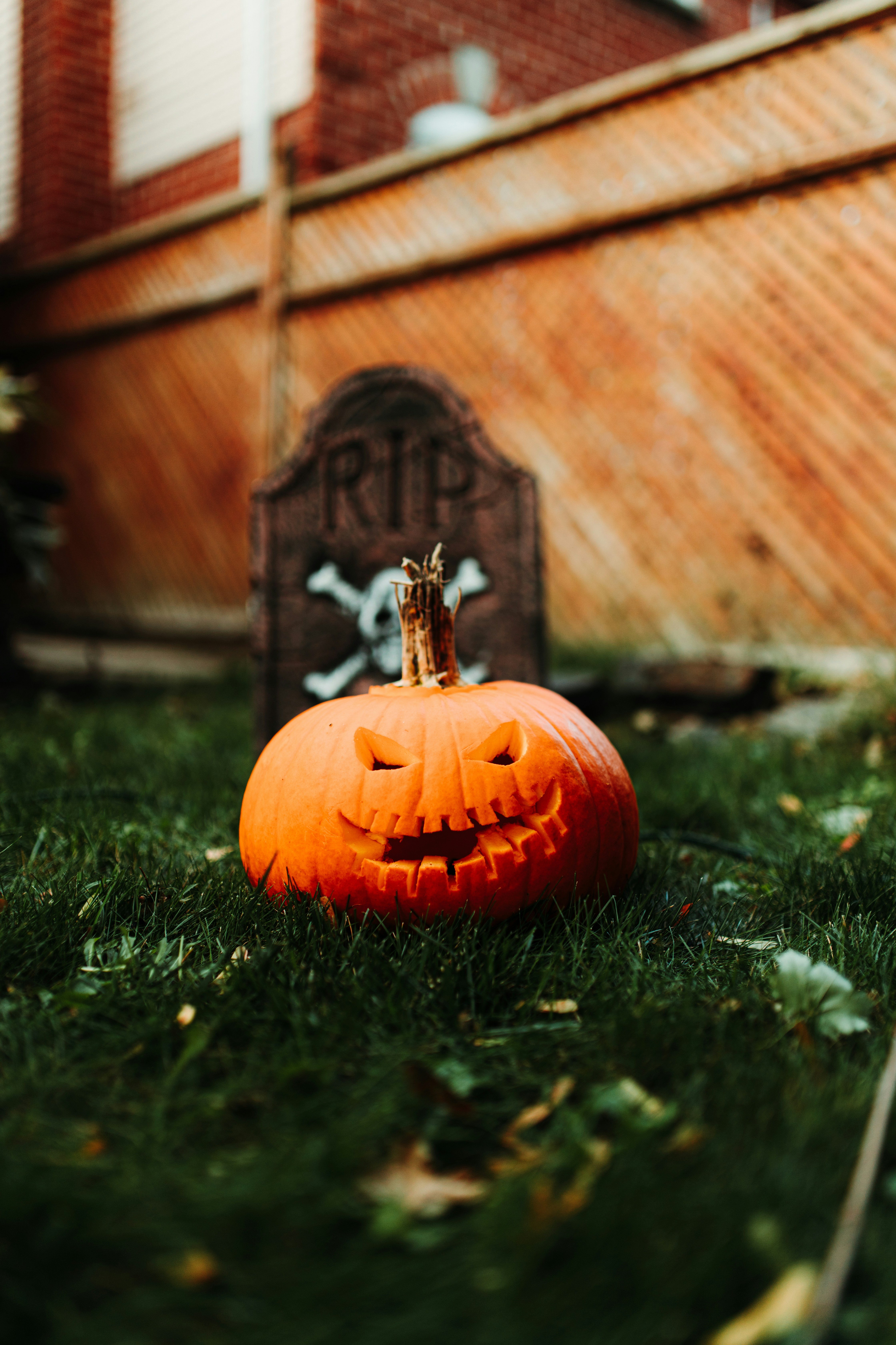 Photo by kyddvisuals