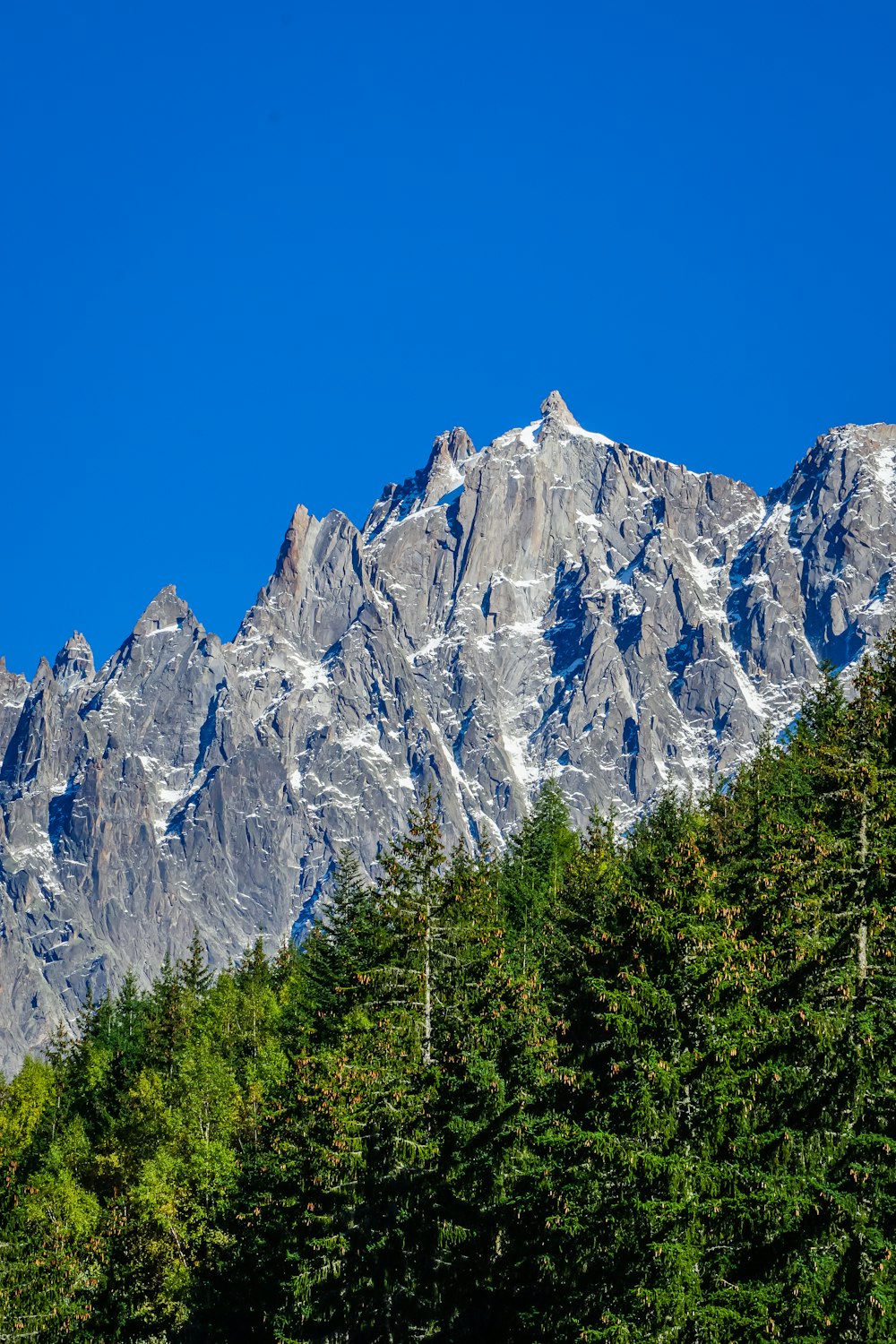 a view of a mountain with trees in the foreground