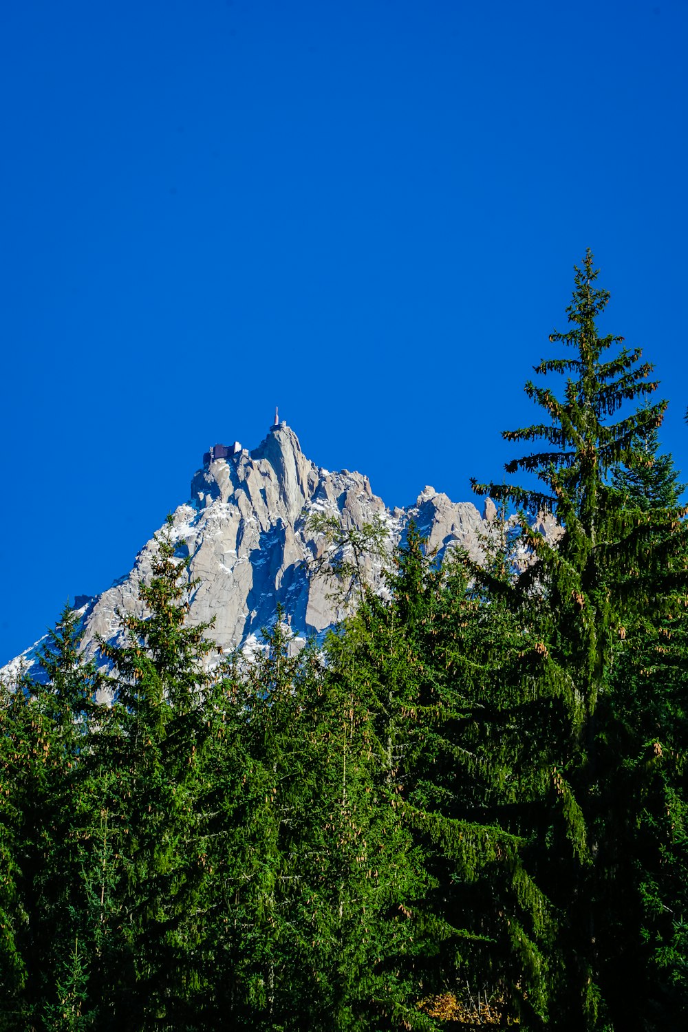 a mountain with trees and a blue sky in the background
