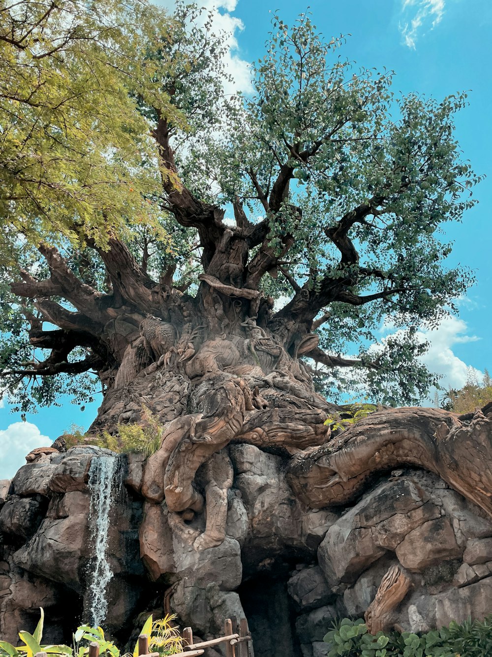 a árvore da vida no reino animal da disney