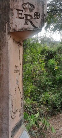 A stone milestone with the engraved letters 'ER' topped by a crown symbol. The column includes additional inscriptions and a carved map-like relief. Behind it, lush green foliage and dense vegetation are visible, suggesting a natural or forested setting.
