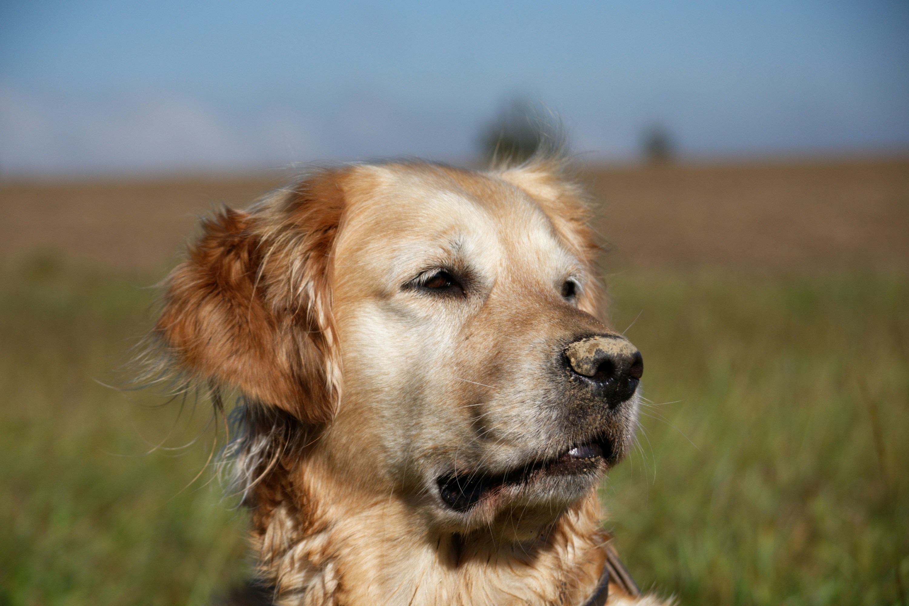 Photo by designbytholen