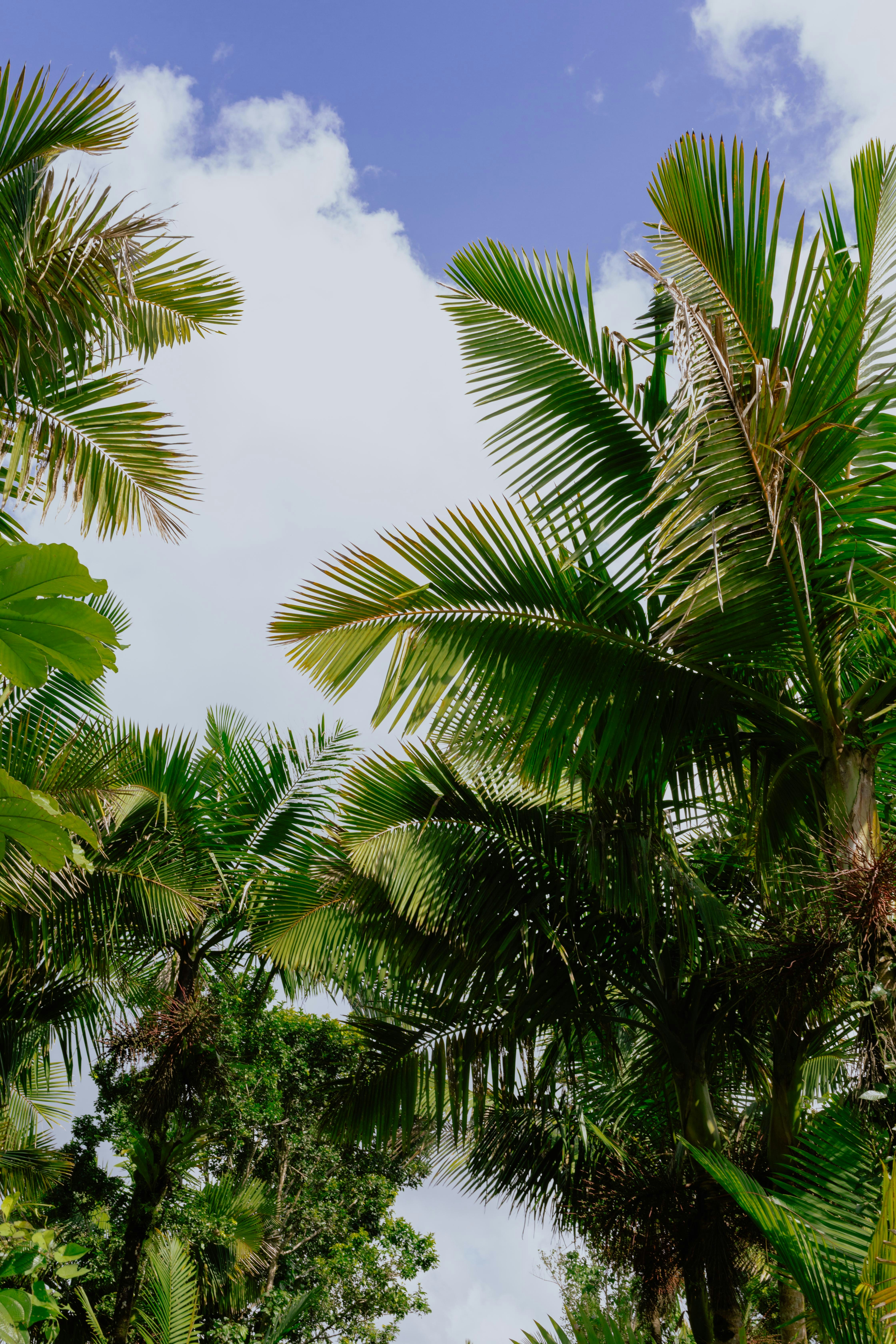 Photo by paularturotorres