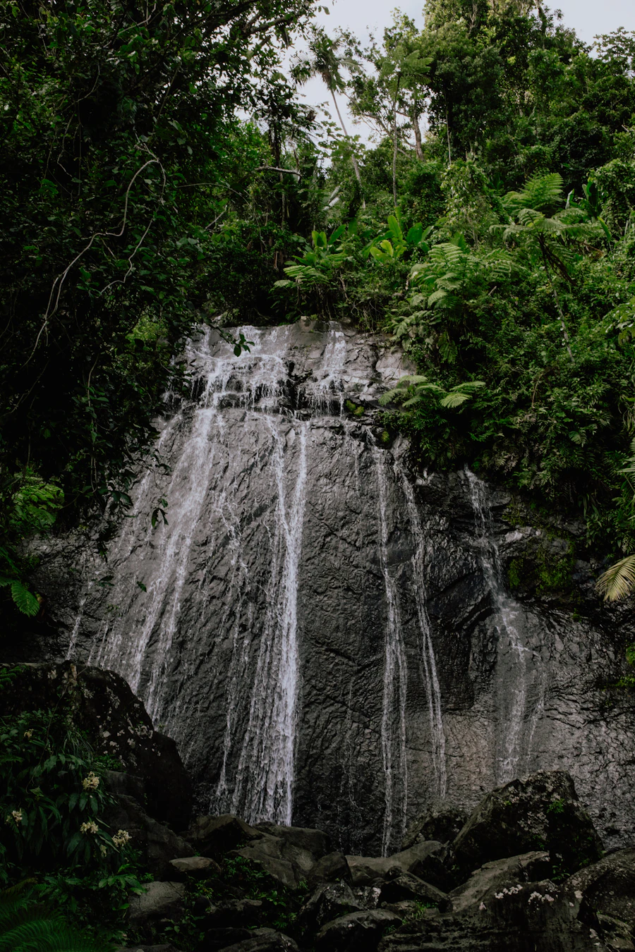 La Mina Falls in El Yunque National Forest