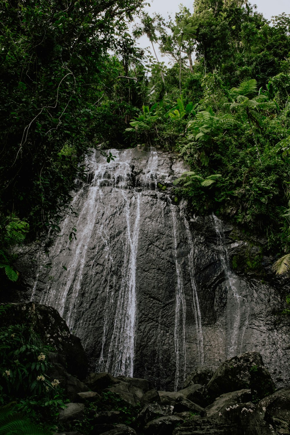 a large waterfall in the middle of a forest