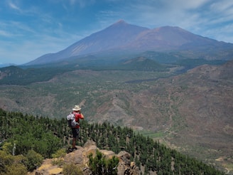 a man standing on top of a lush green hillside