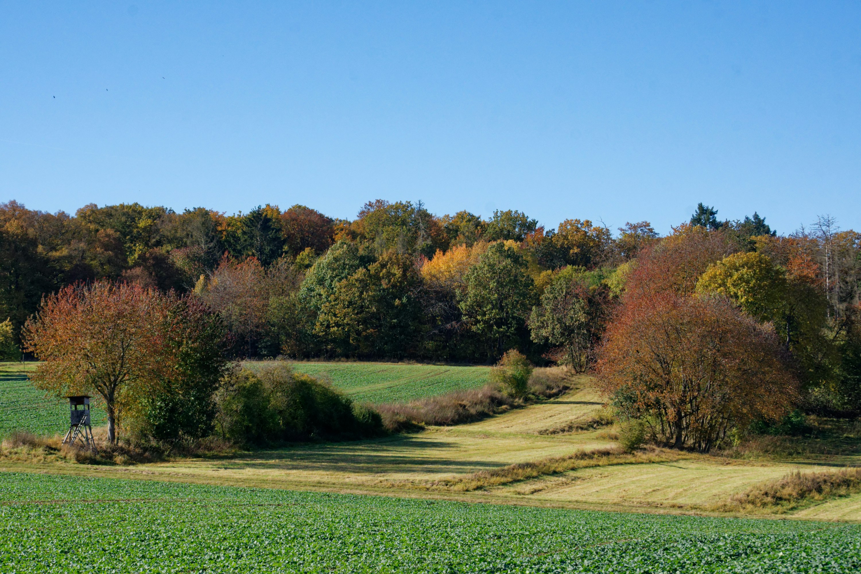 Photo by designbytholen