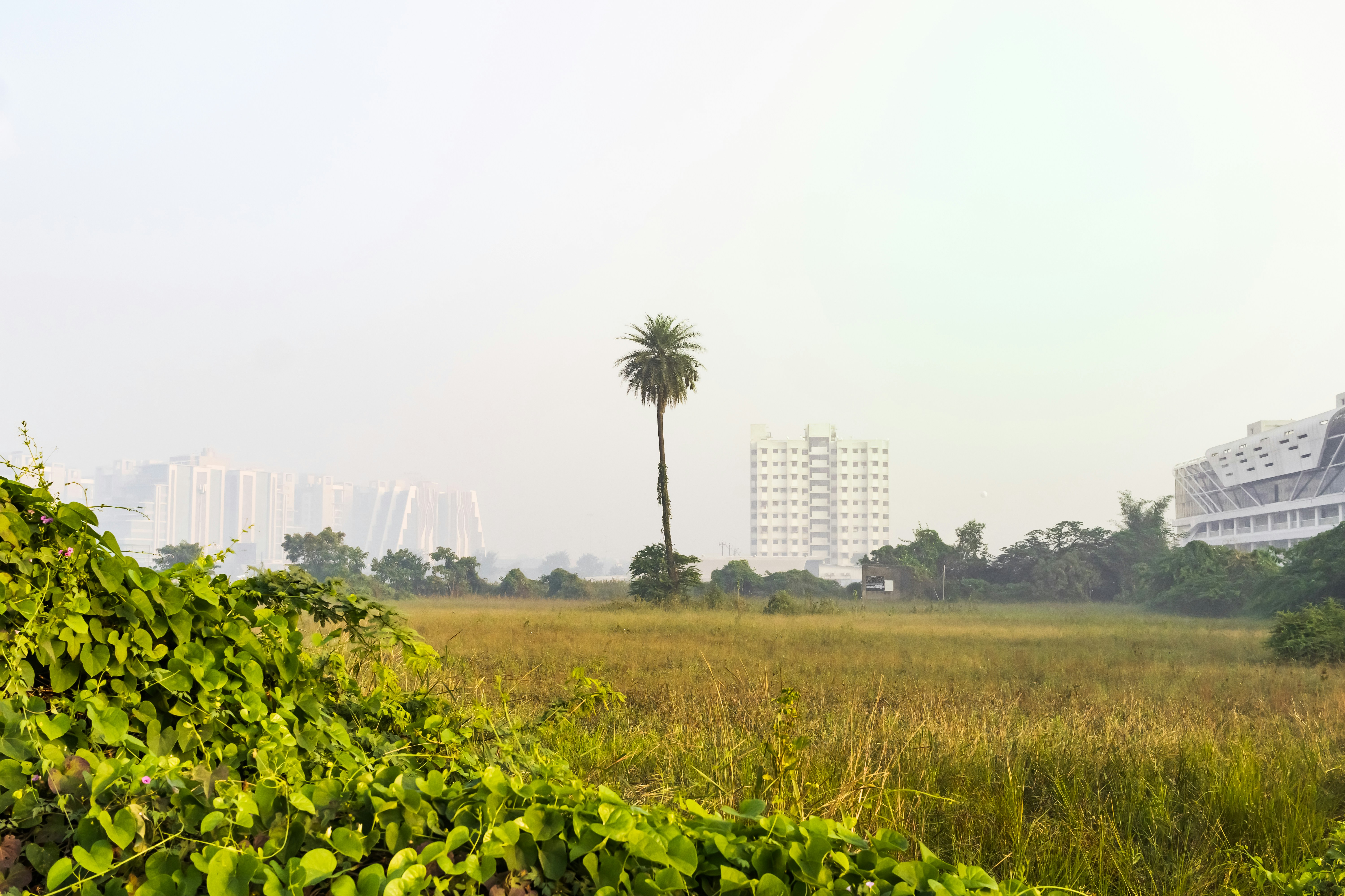 Photo by vdphotography