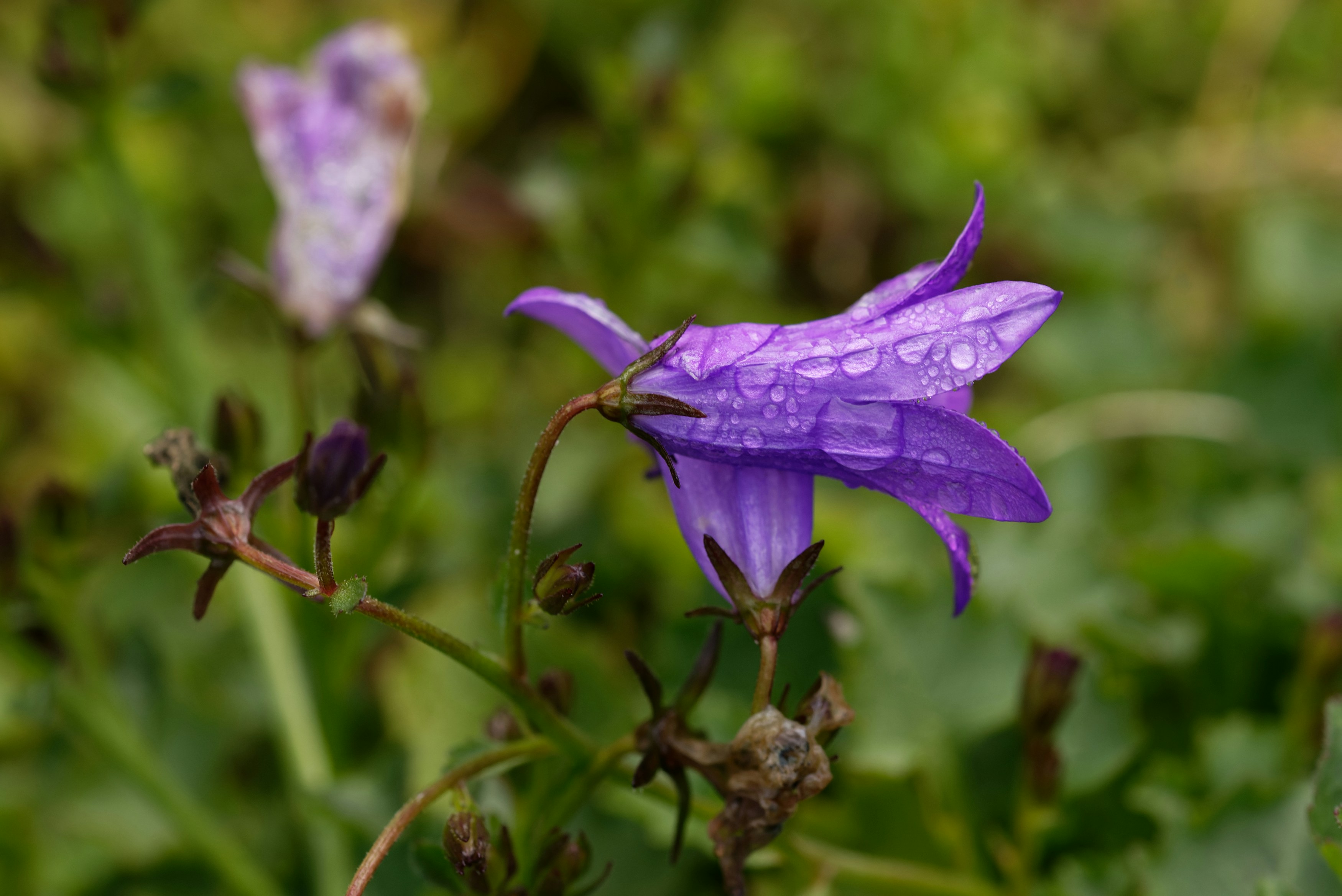 Photo by designbytholen