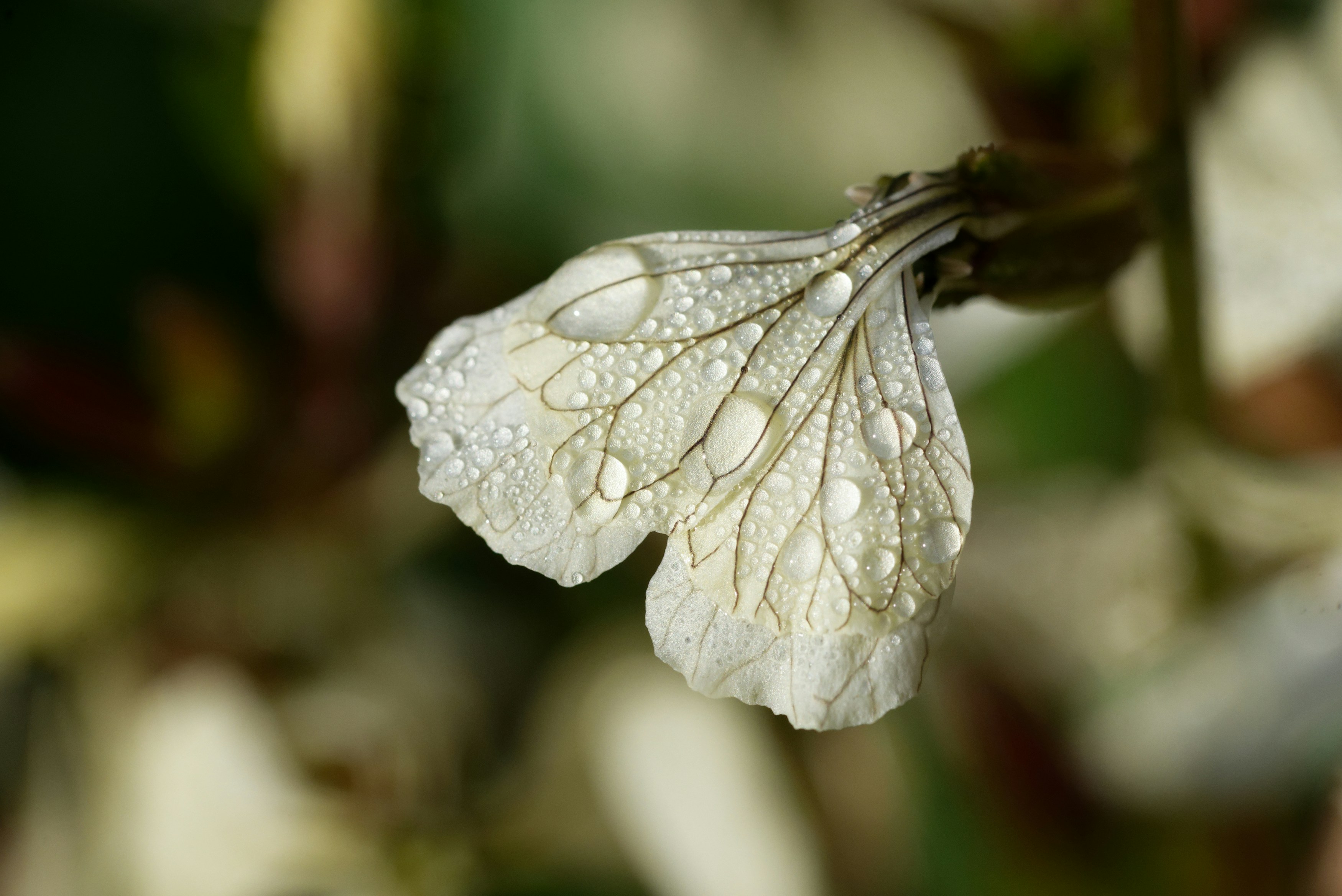 Photo by designbytholen