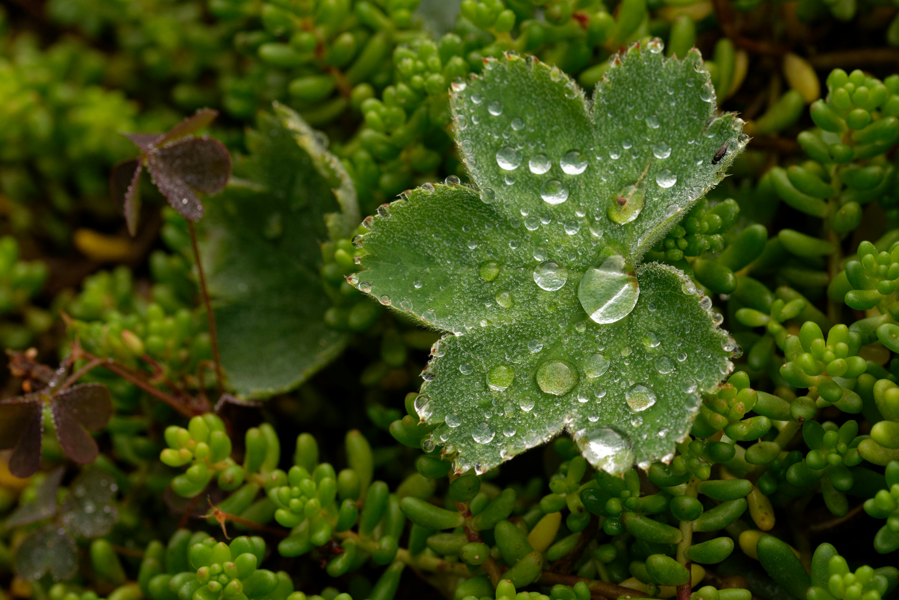 Photo by designbytholen