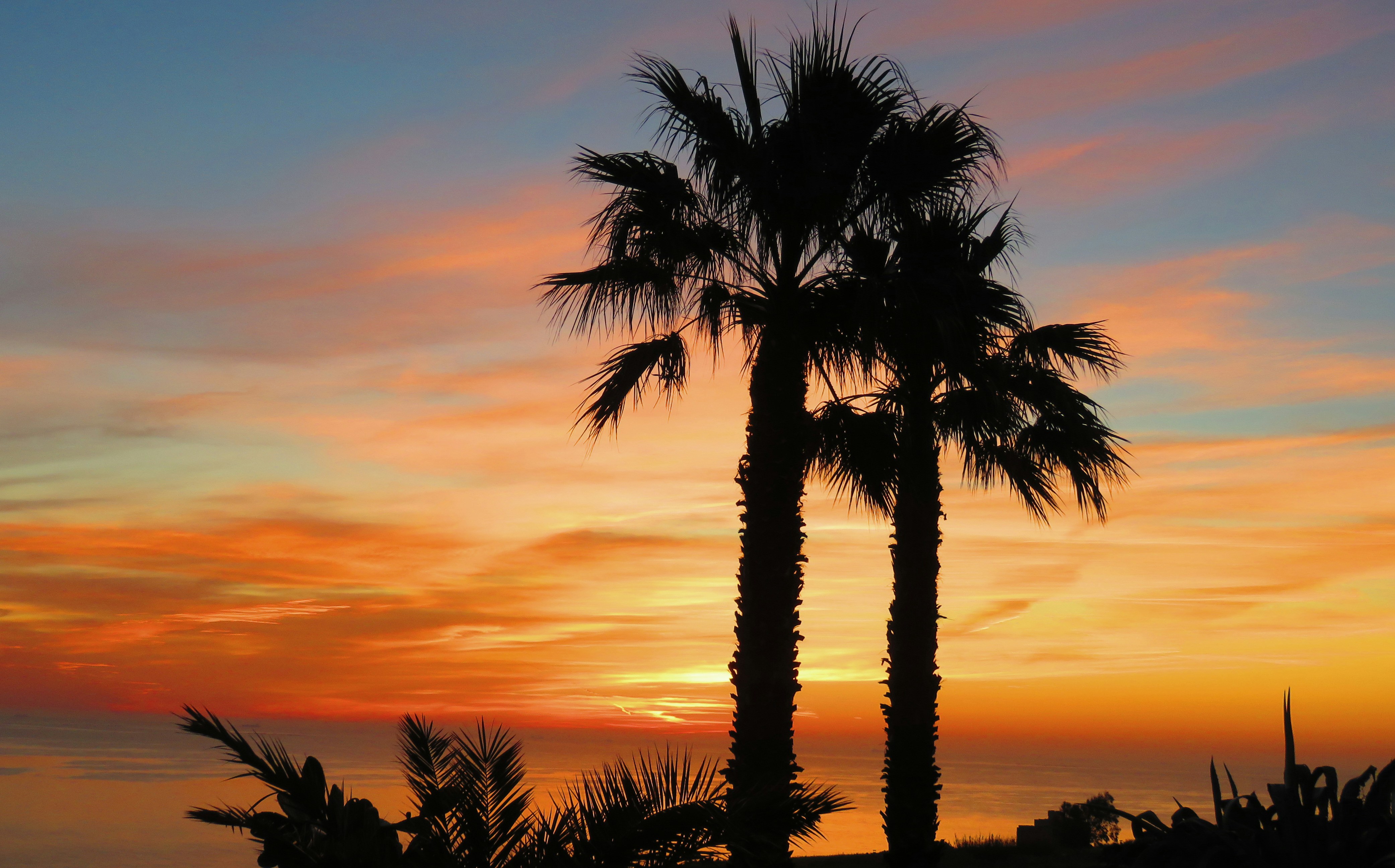 Photo by thewisdom689