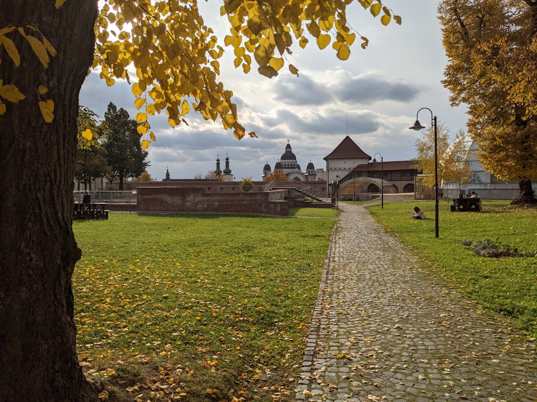 Cover Image for Discover Tirgu Mures with Wizzair – a must-visit city for every traveler (30 EUR)