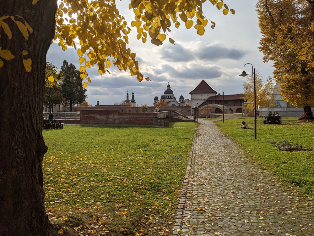 a path in a park with a building in the background