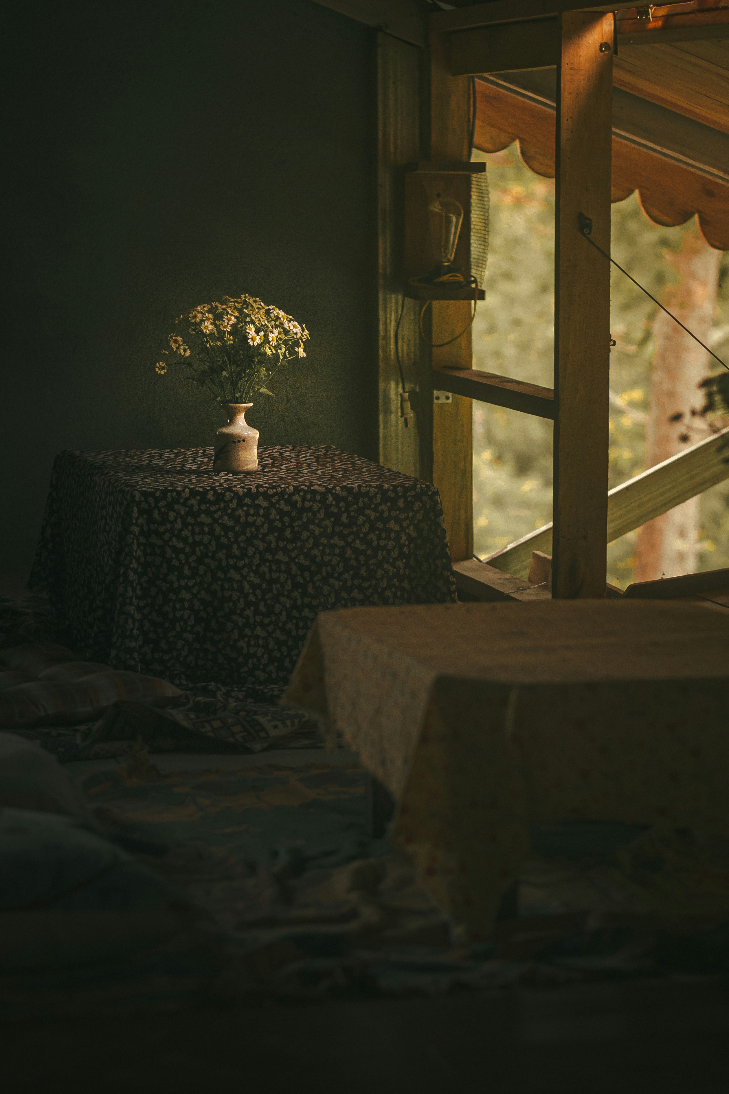 Photo by xiaowuuuuuuu