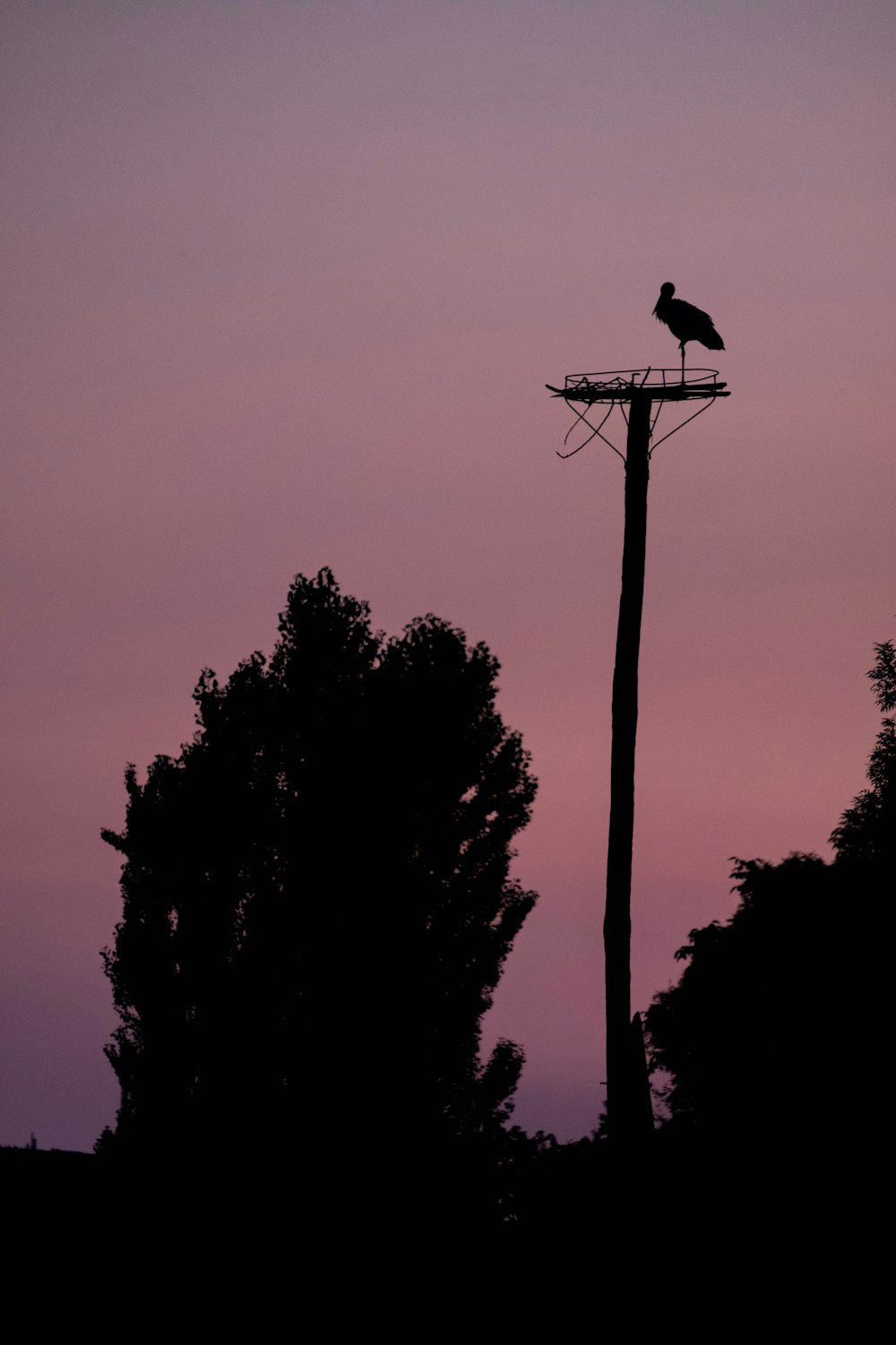 a bird sitting on top of a bird house