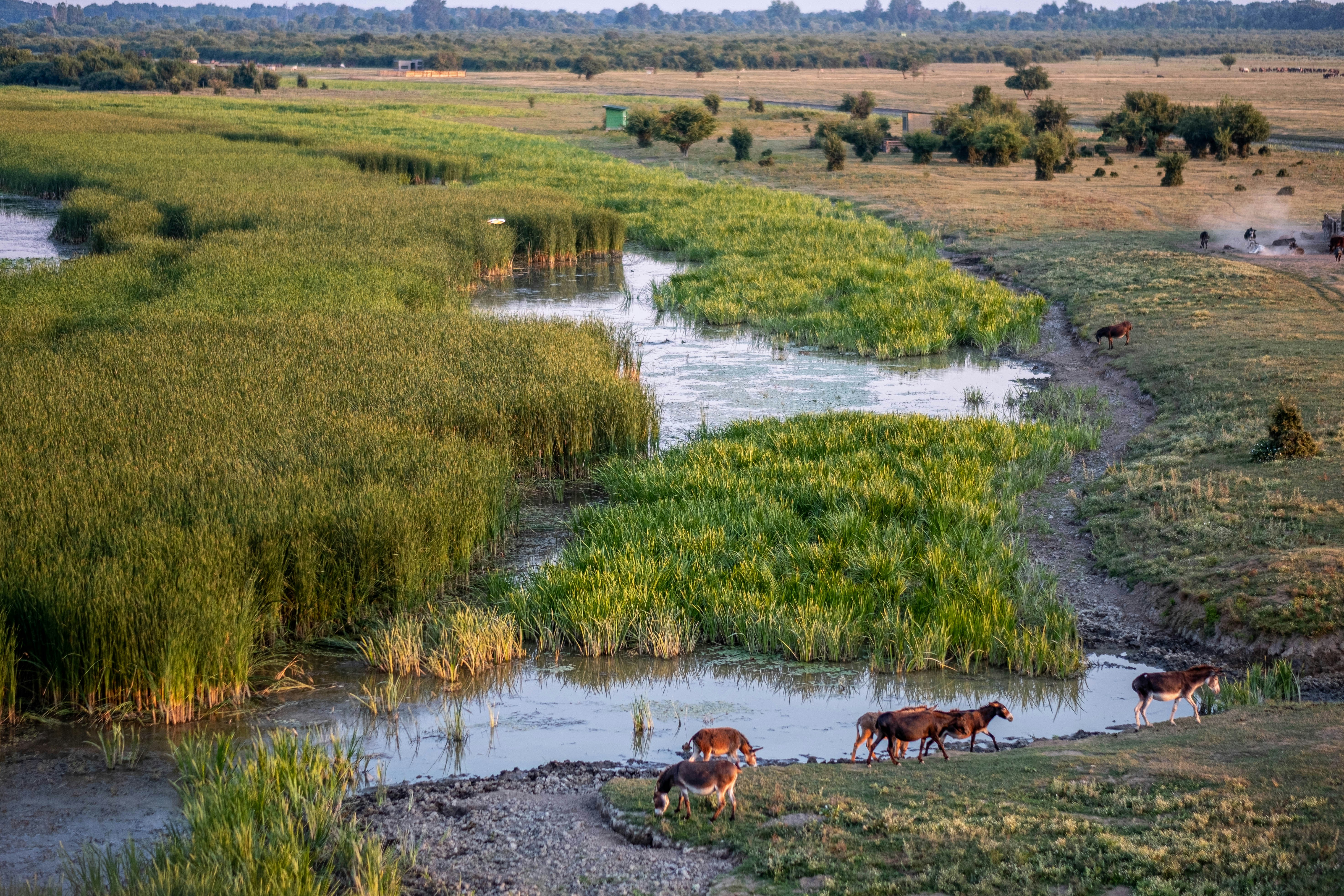 Photo by thejohnnyme