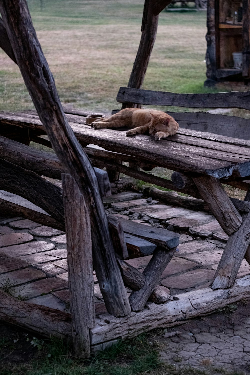 a dog laying on top of a wooden bench