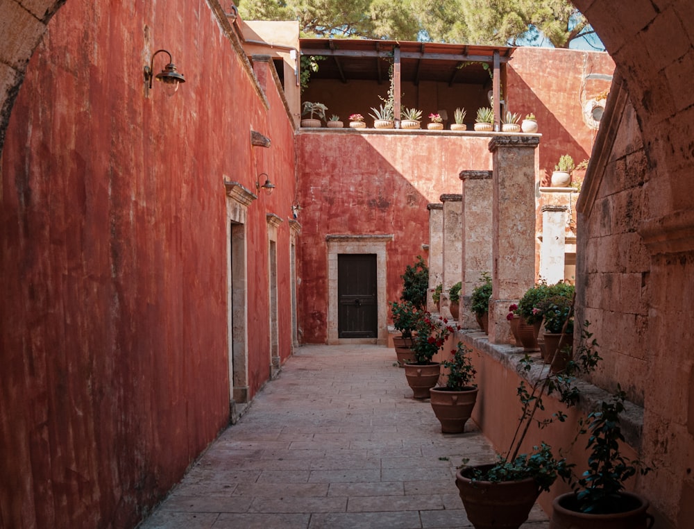 a narrow alley way with potted plants on either side