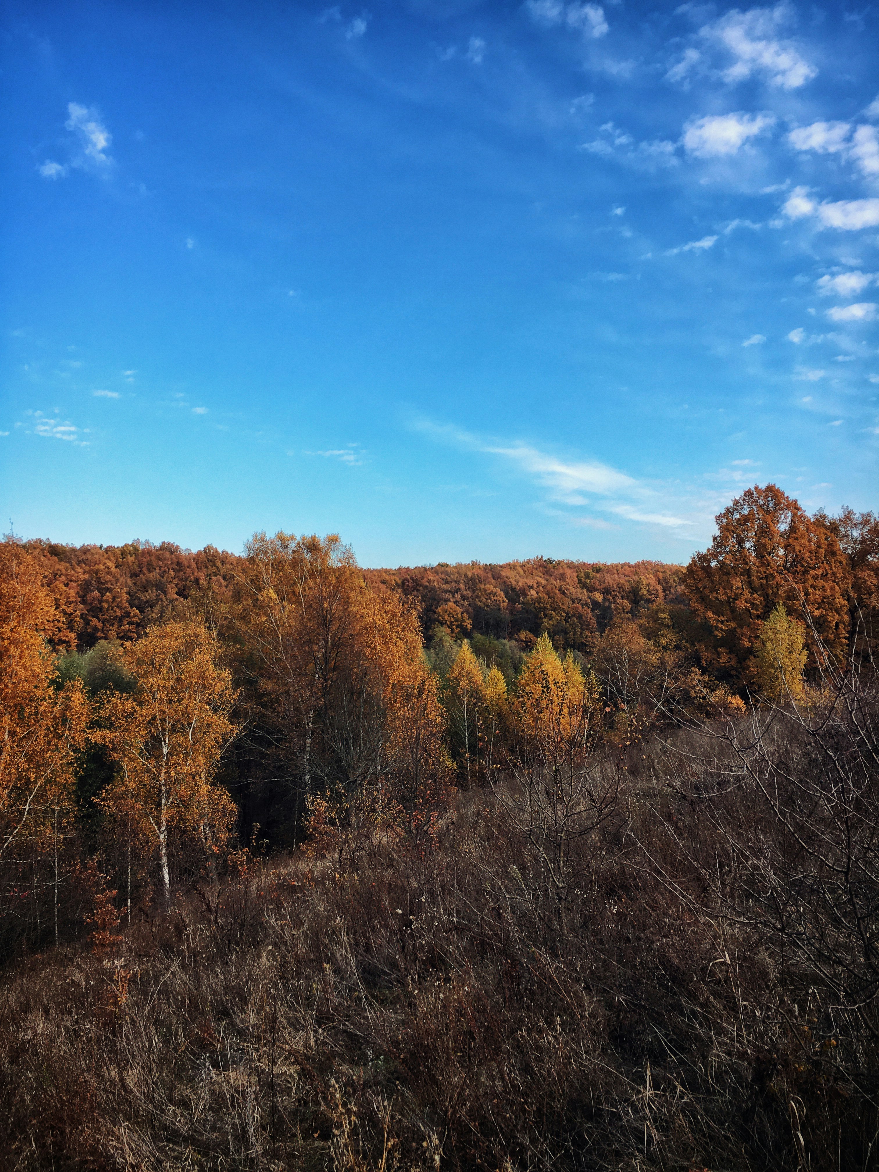 Photo by maxniceman