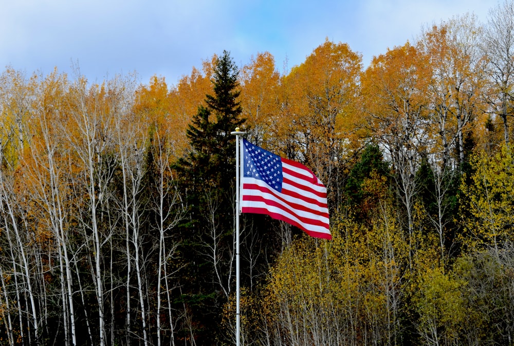 an american flag flying in front of a grove of trees