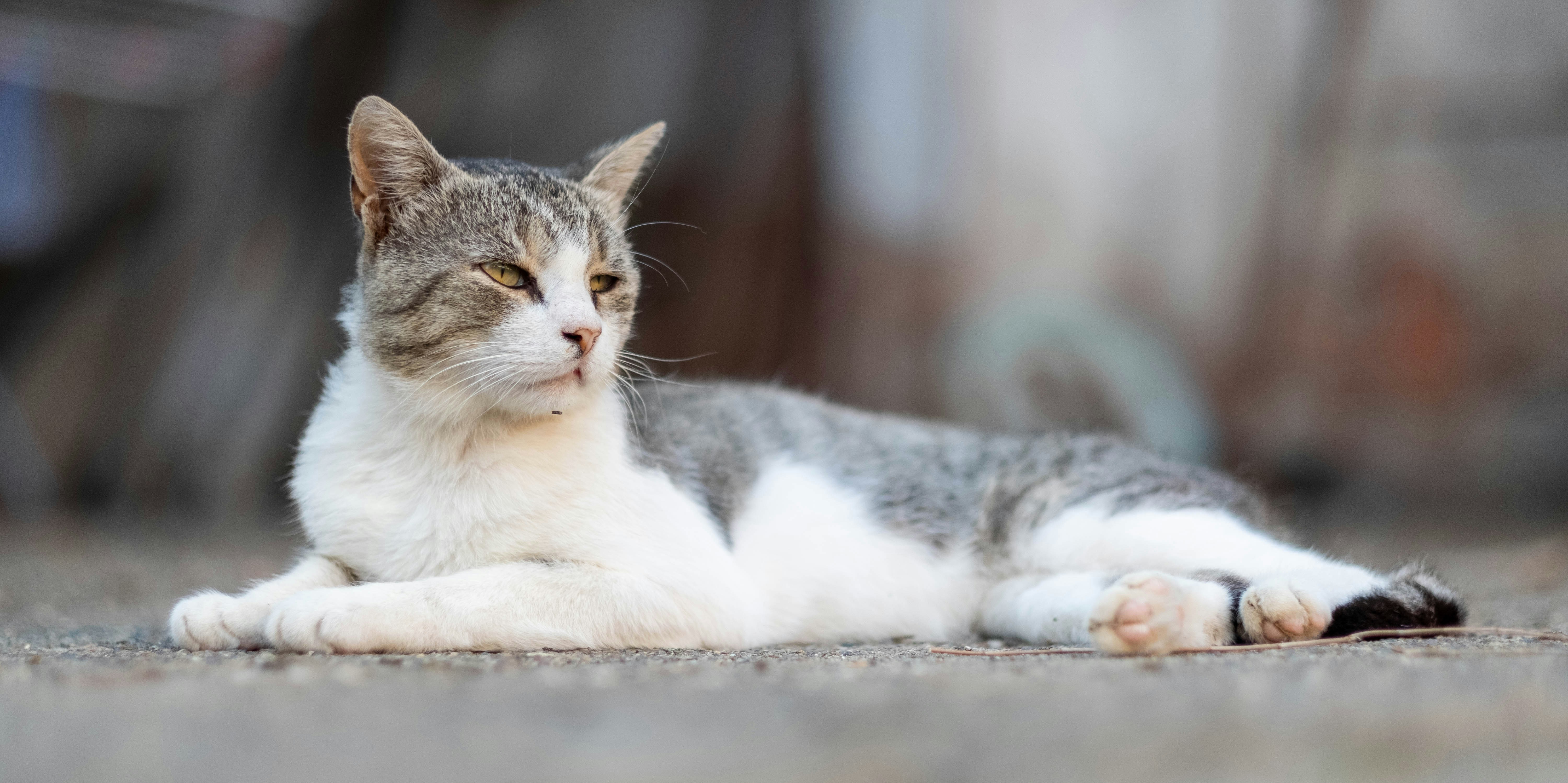 Photo by thejohnnyme